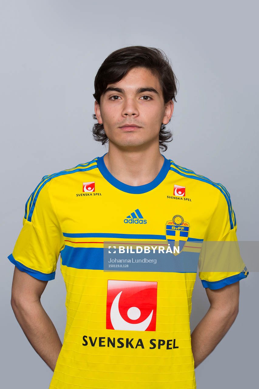 Martin Johansson Zanjanchi, Sverige