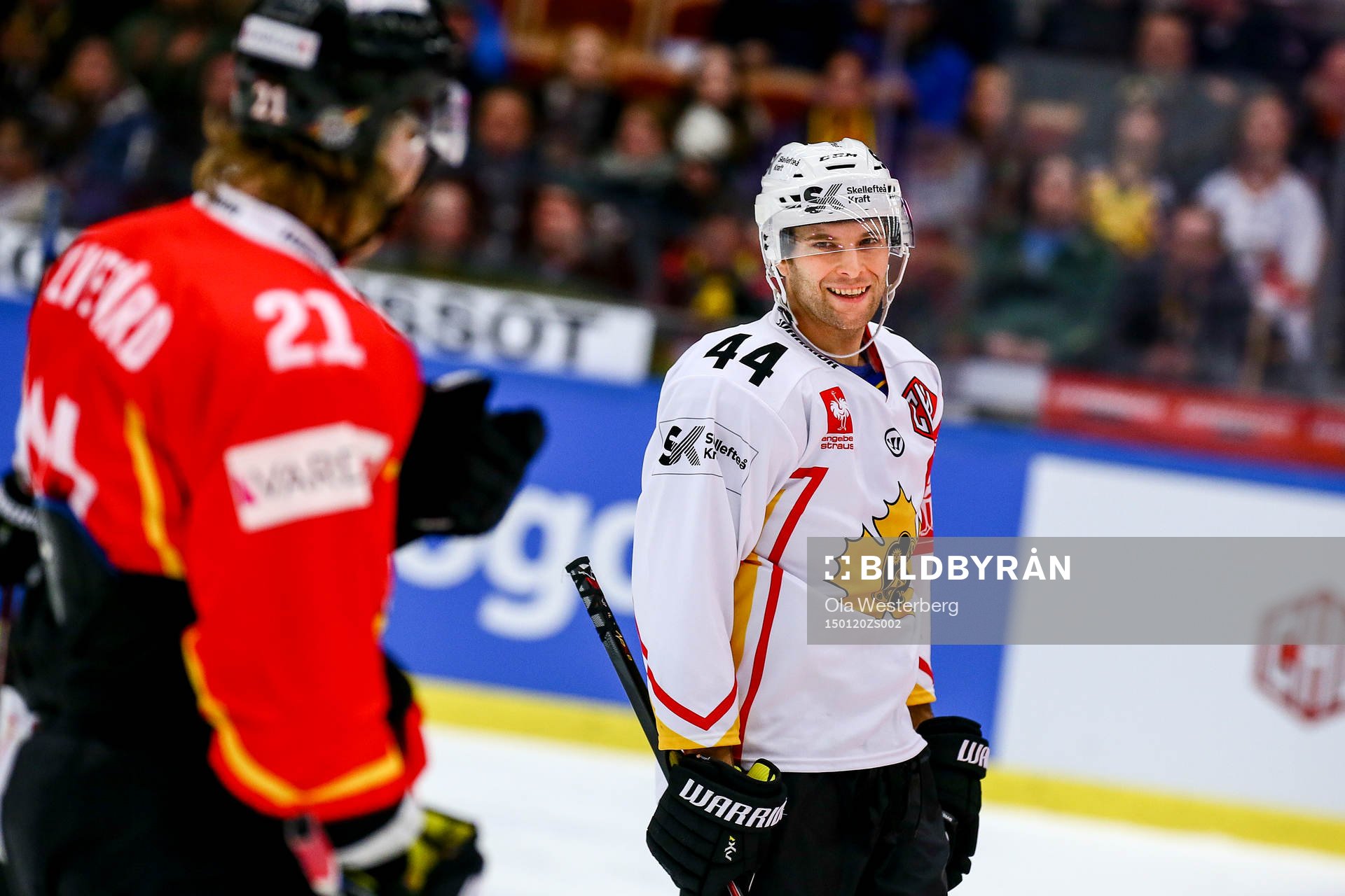 Skellefteås Rob Schremp