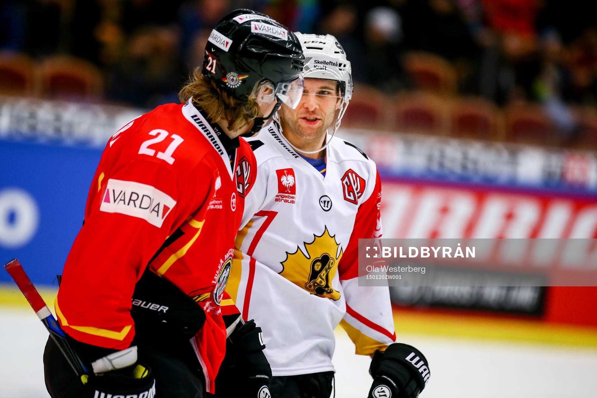 Skellefteås Rob Schremp