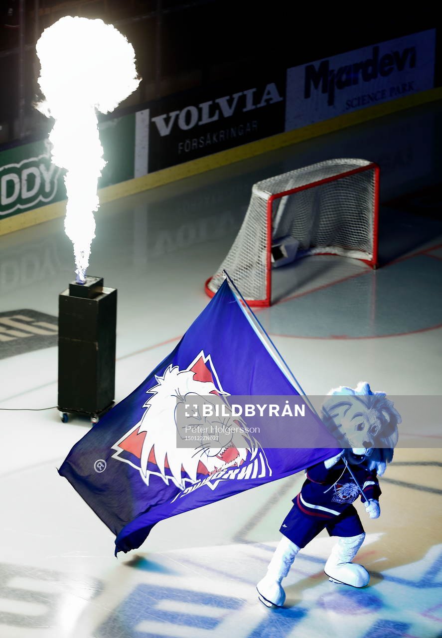 Linköpings maskot Sture