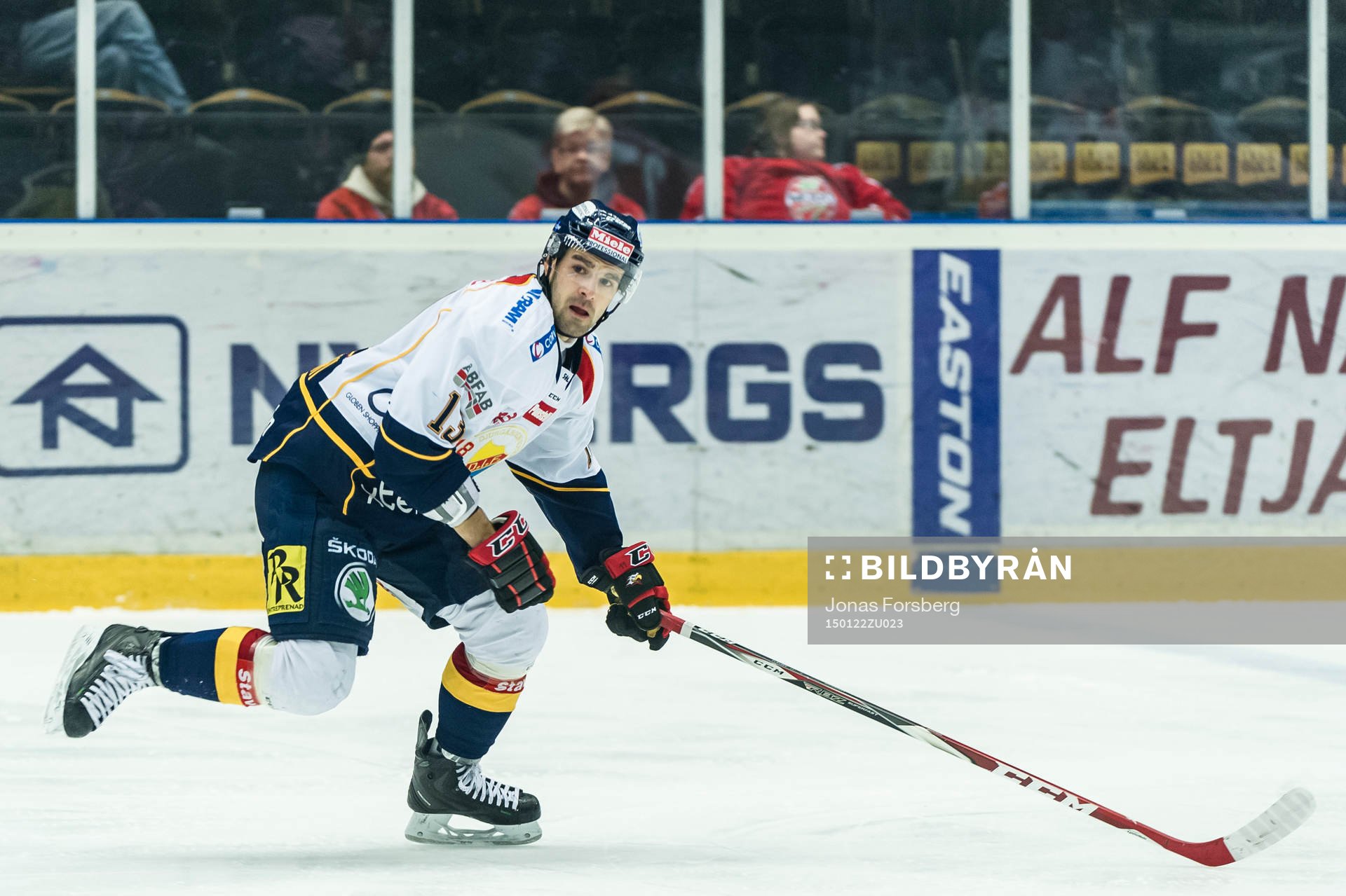 Djurgården Damien Fleury
