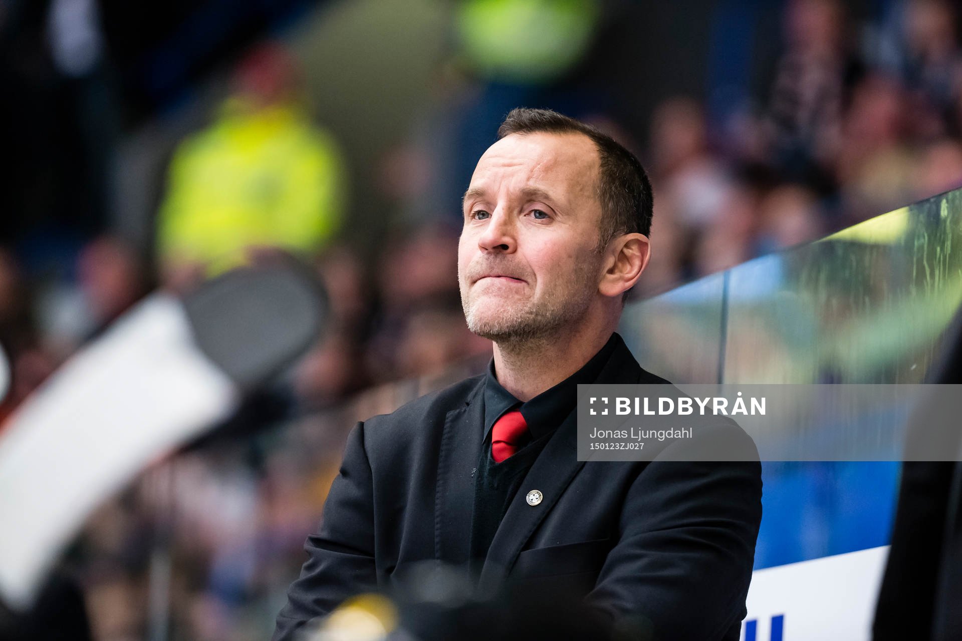 Brynäs tränare Thomas Berglund