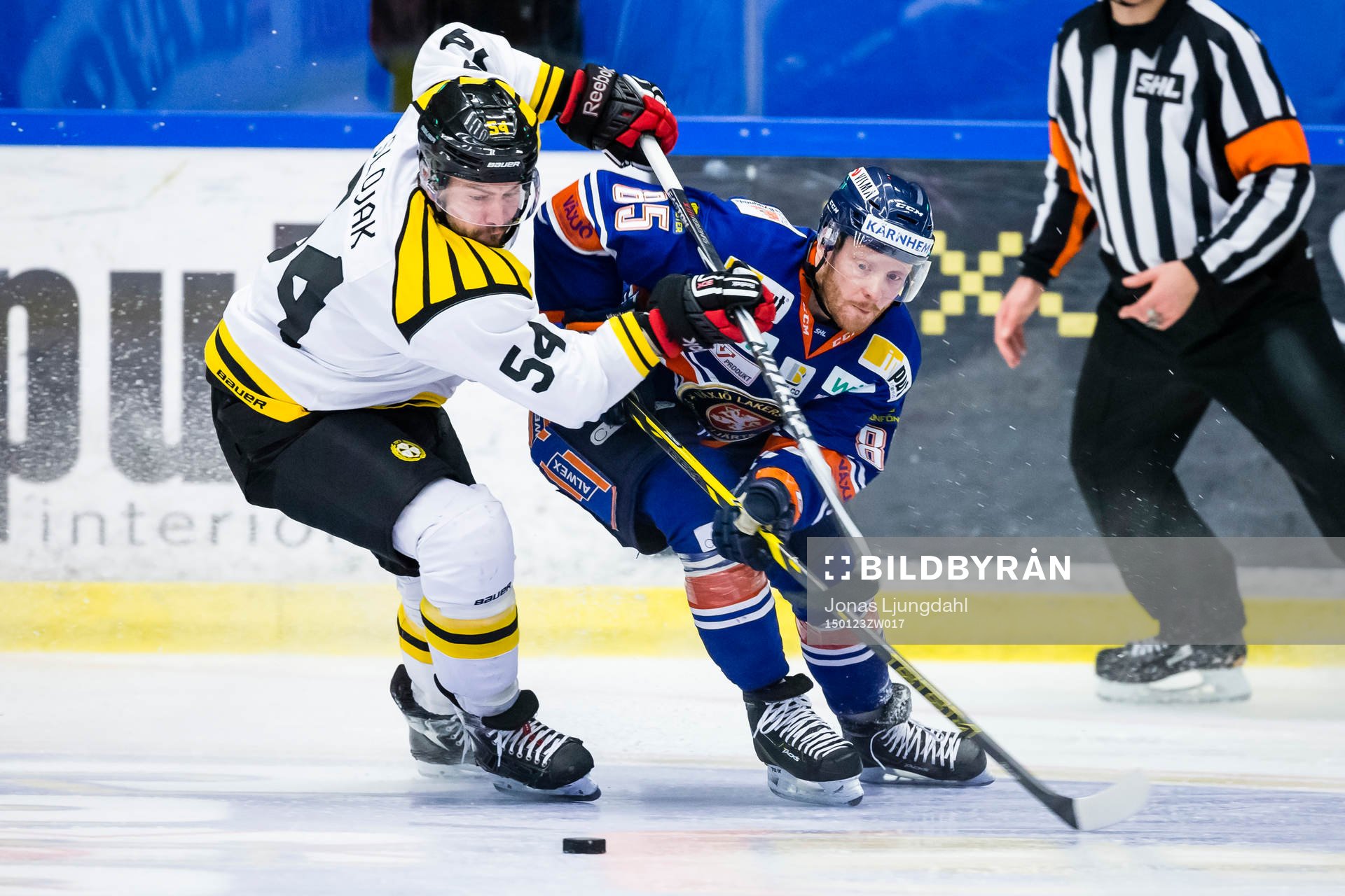 Brynäs Tomas Slovak