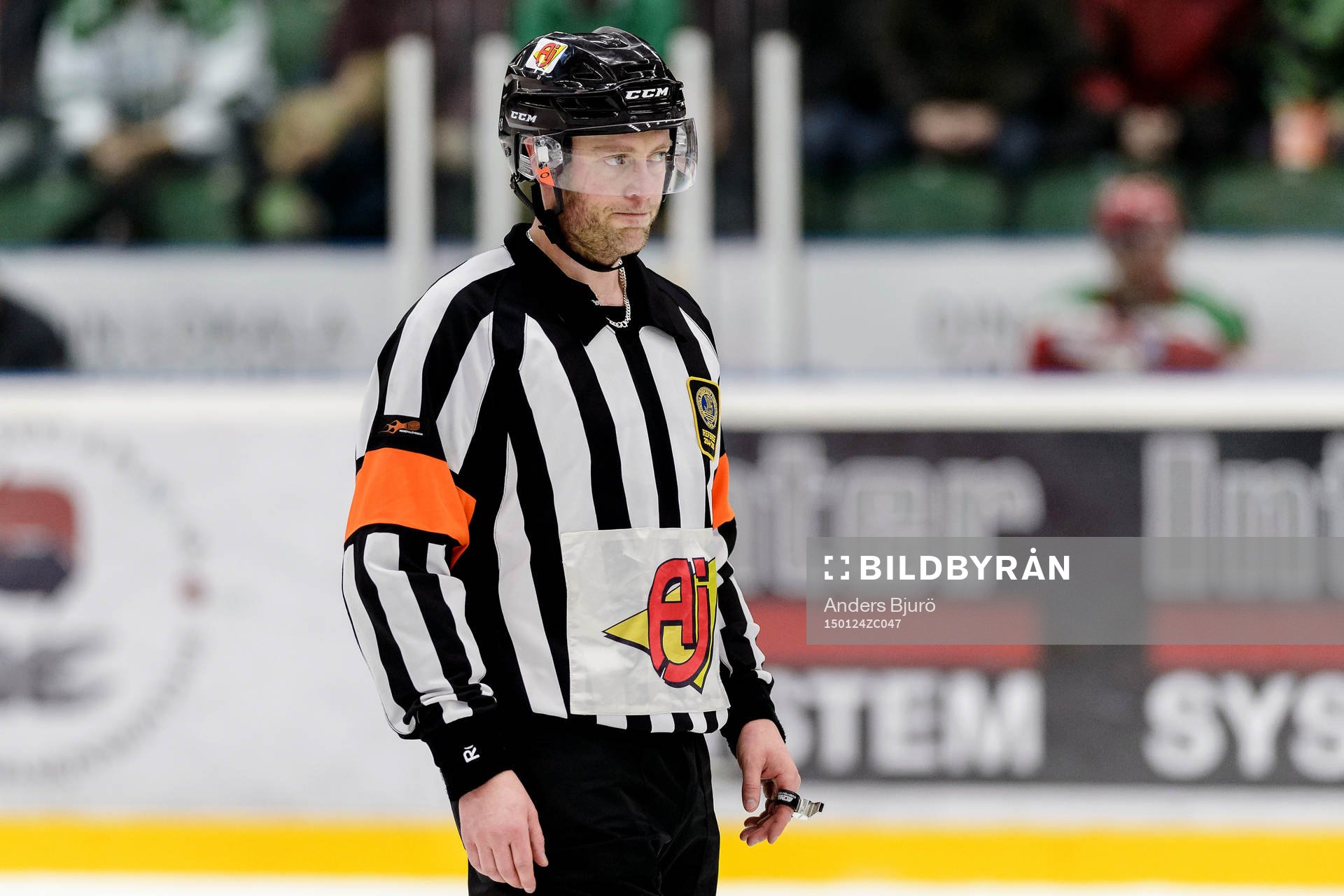 Domare Robin Karlsson