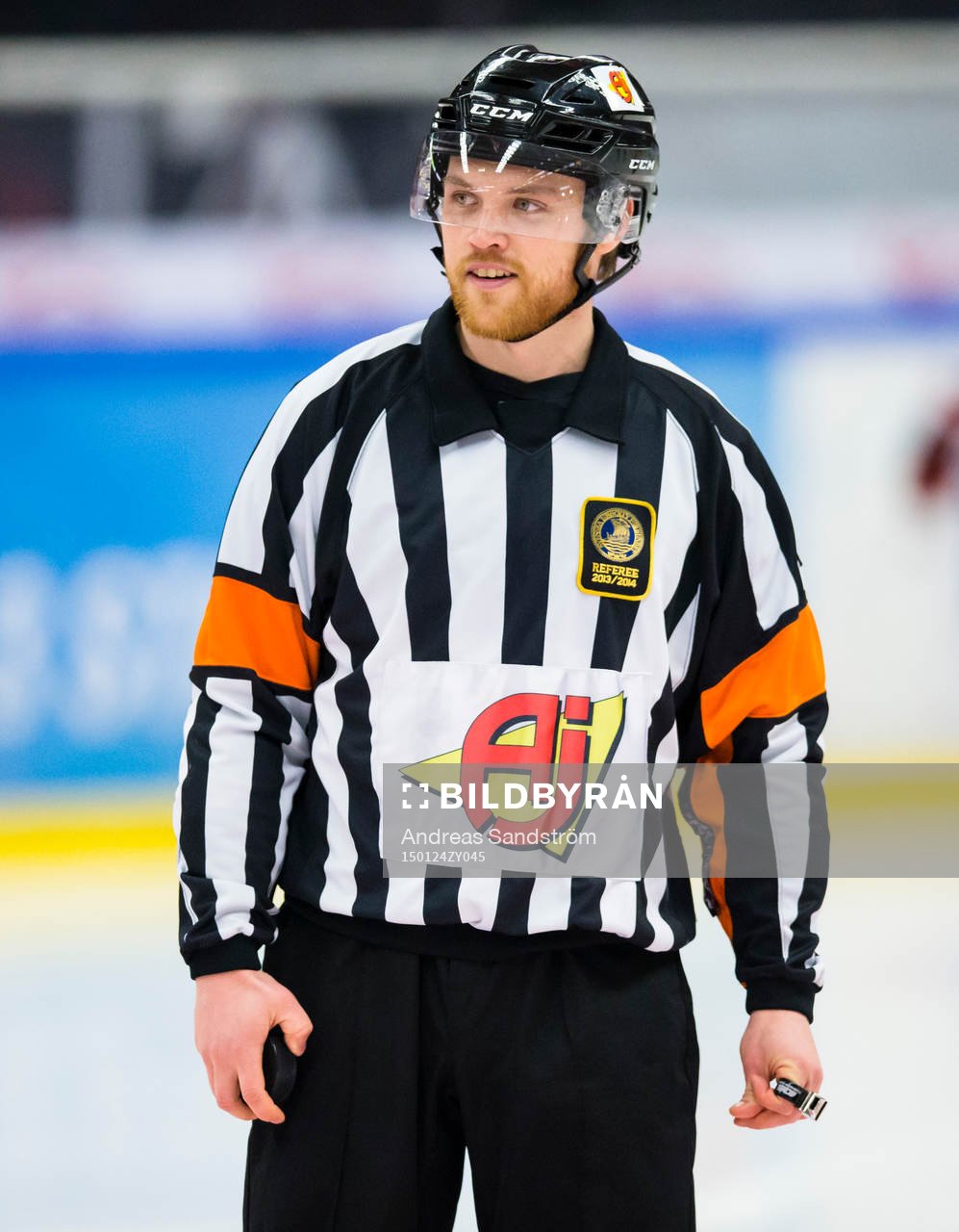 Domare Johan Häll