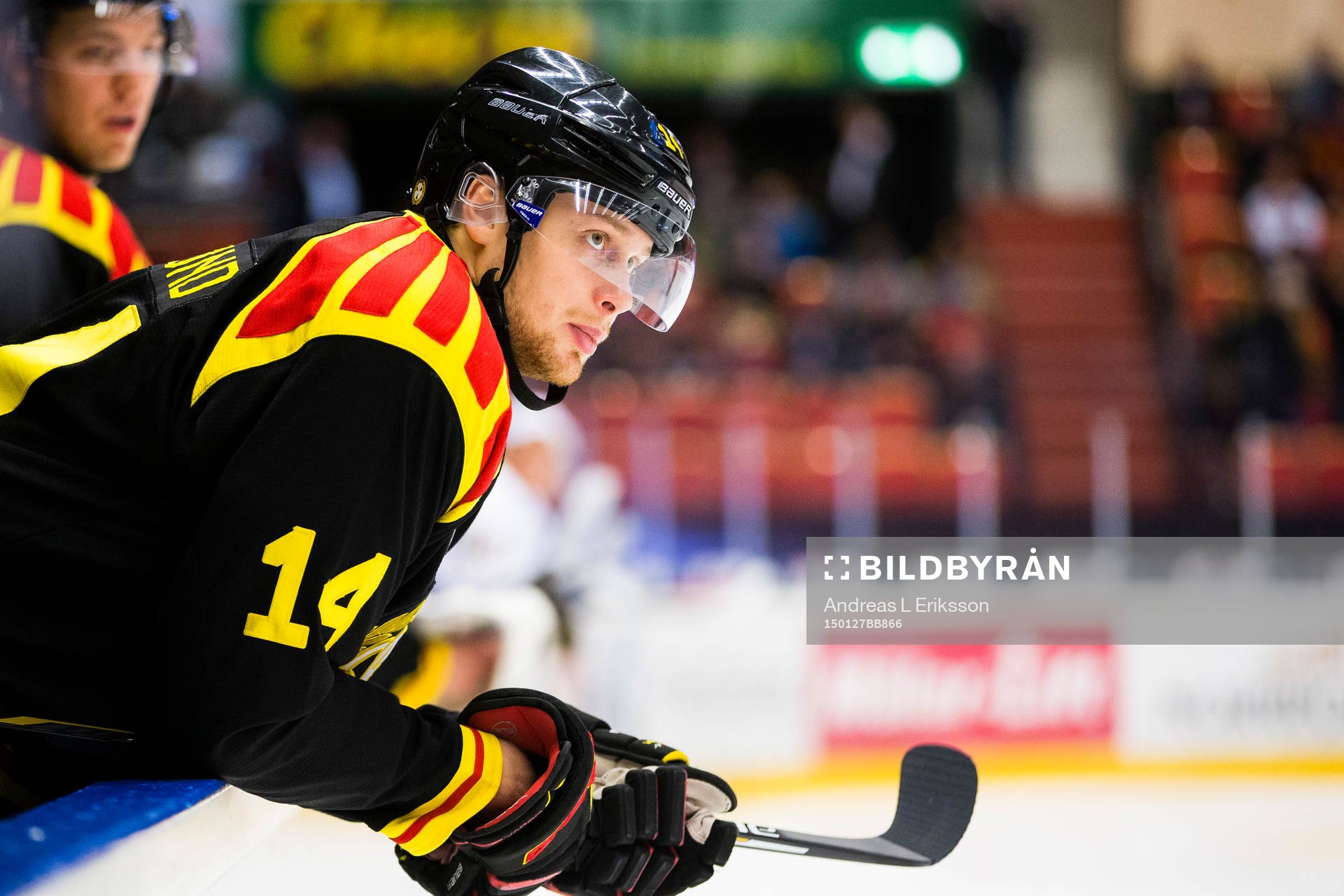 Brynäs David Westlund