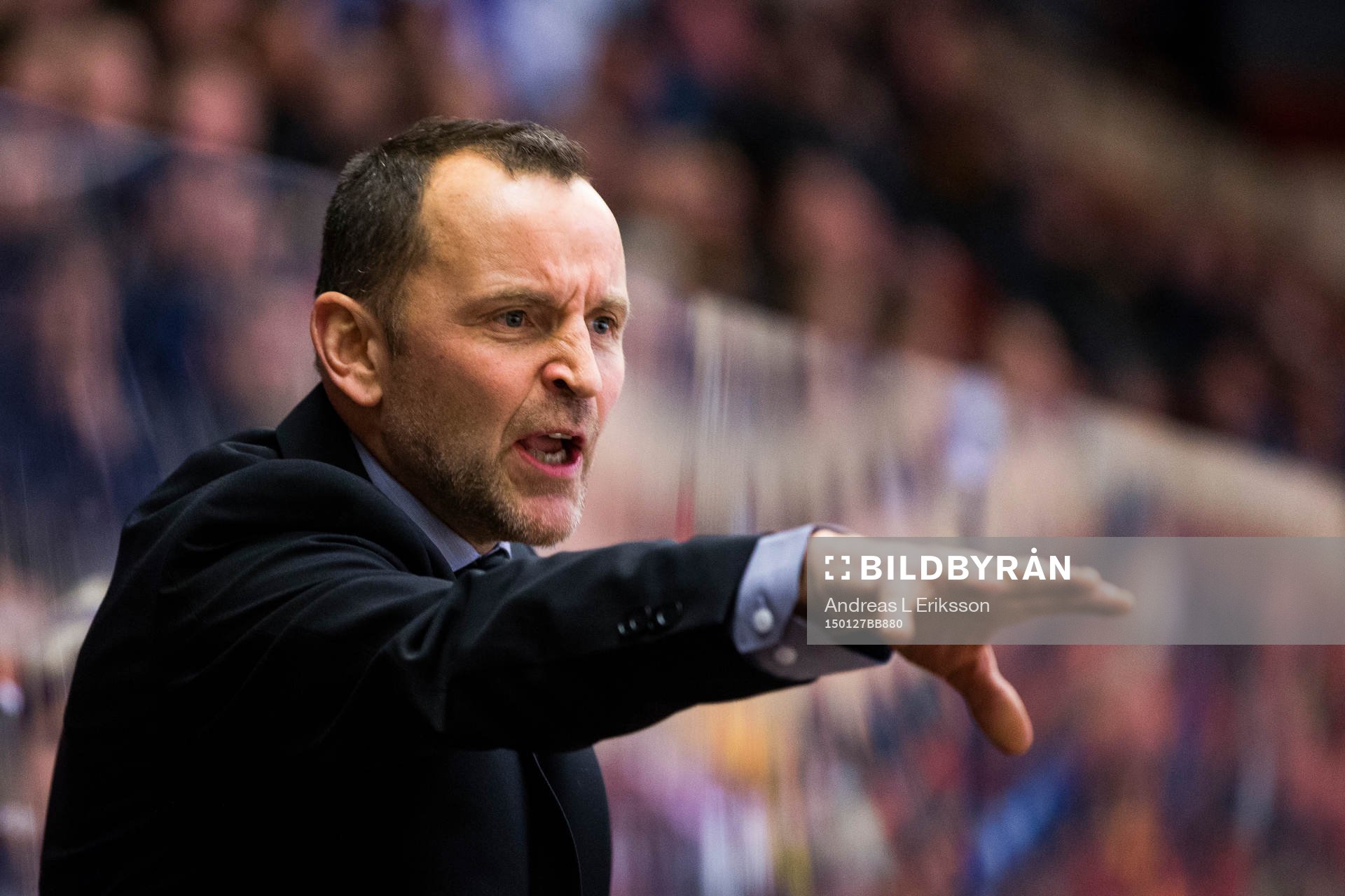 Brynäs tränare Thomas Berglund reagerar