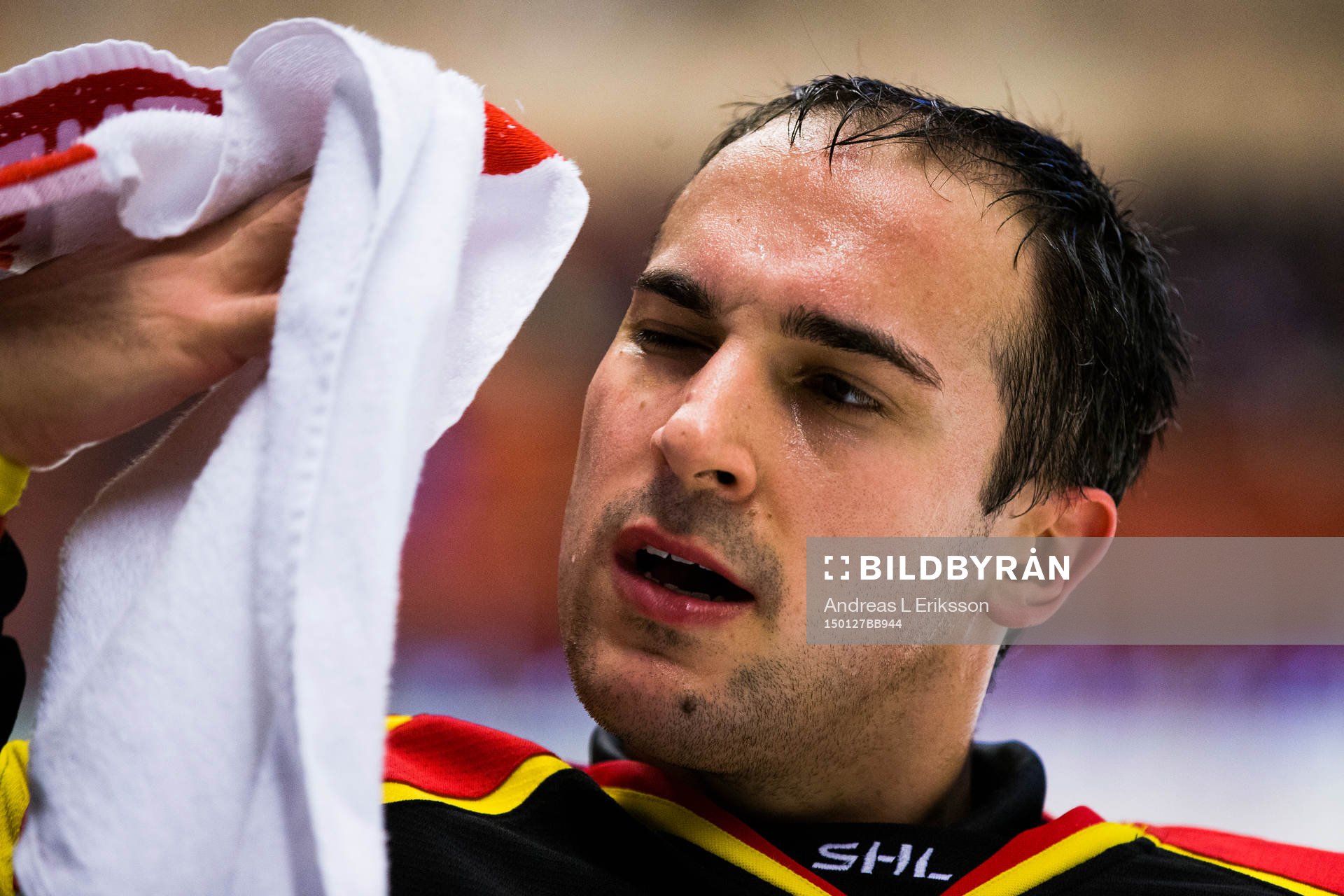 Brynäs målvakt Bernhard Starkbaum