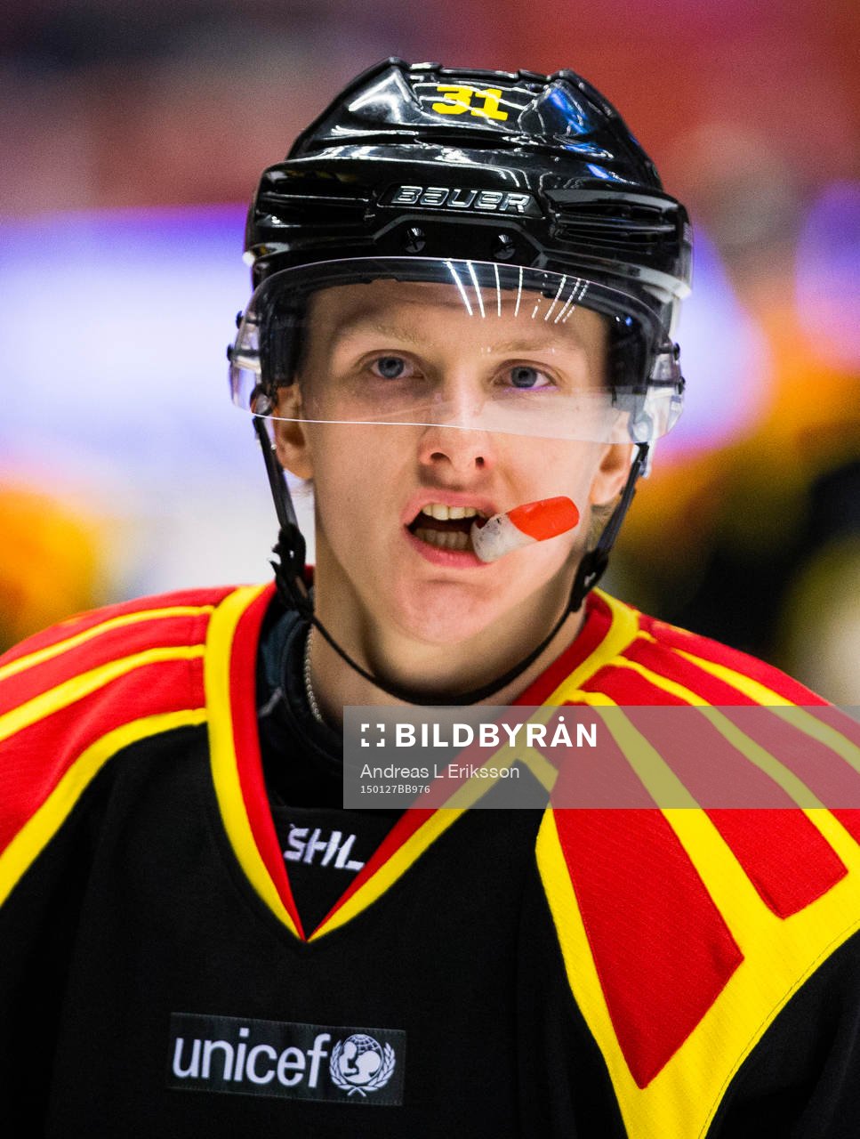 Brynäs Daniel Mannberg