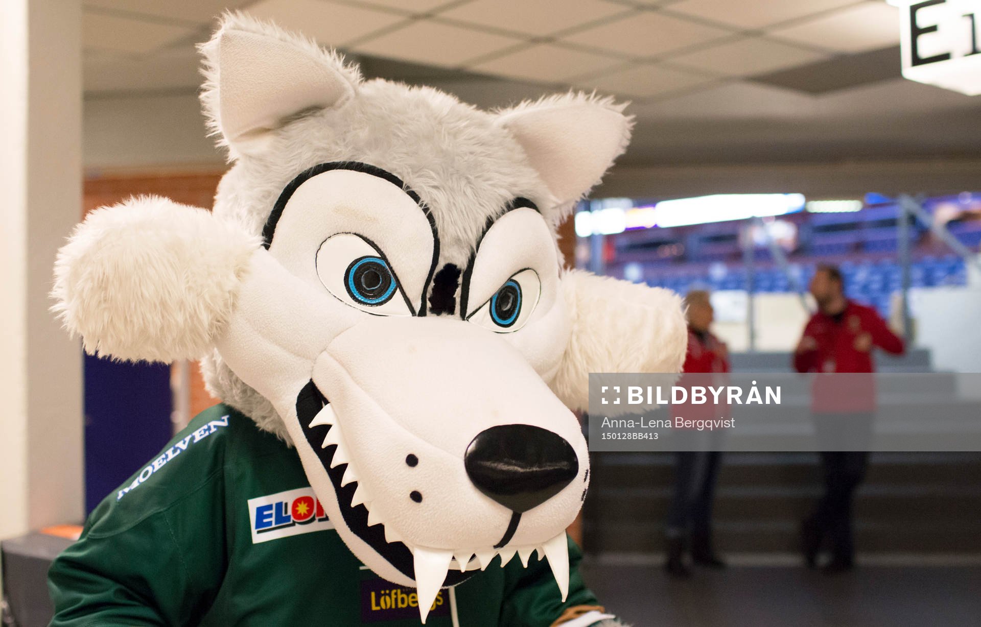 Ture Vargunder visar gaddarna ishockeymatchen i SHL mellan