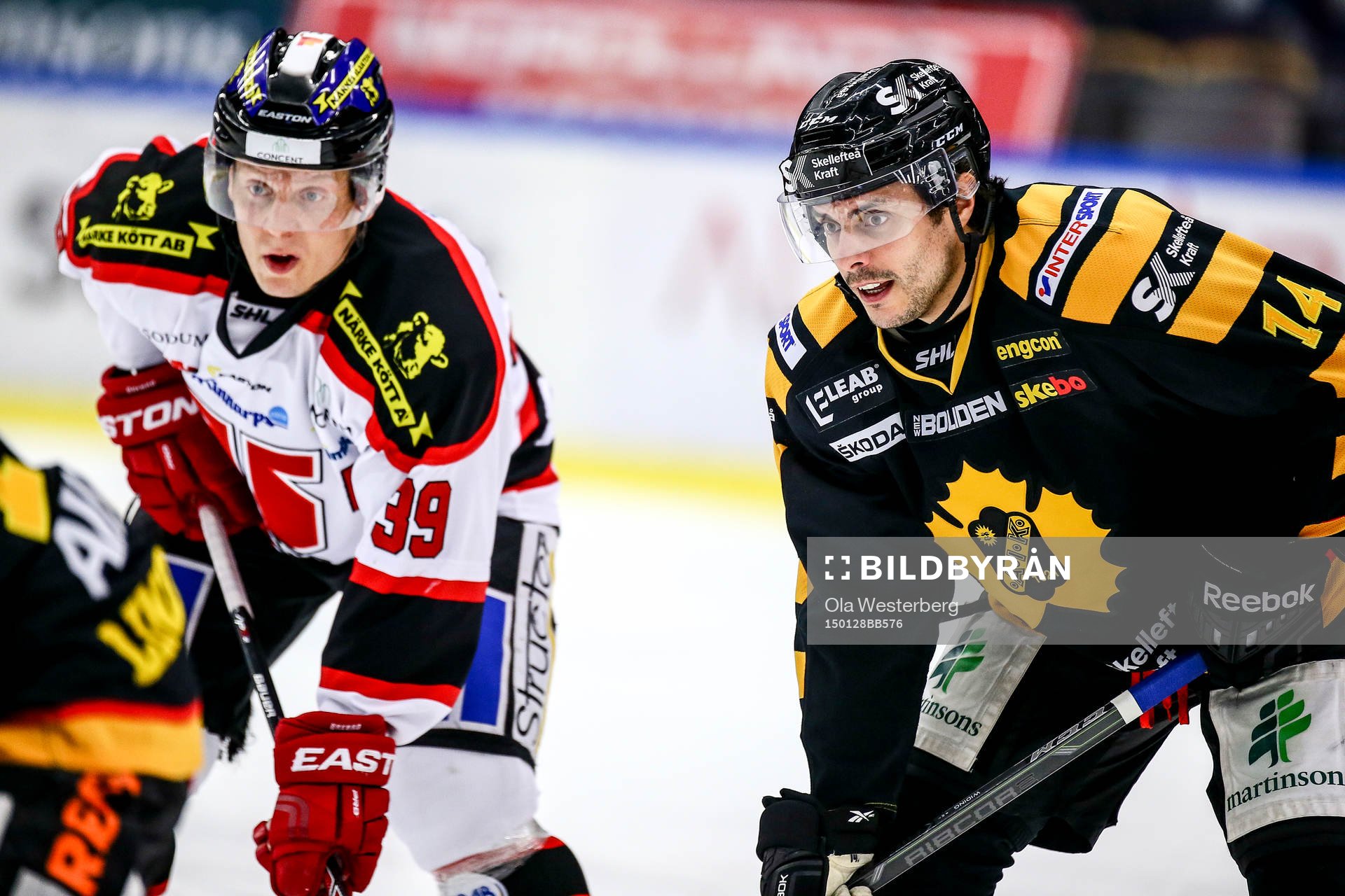 Skellefteås Daniel Widing