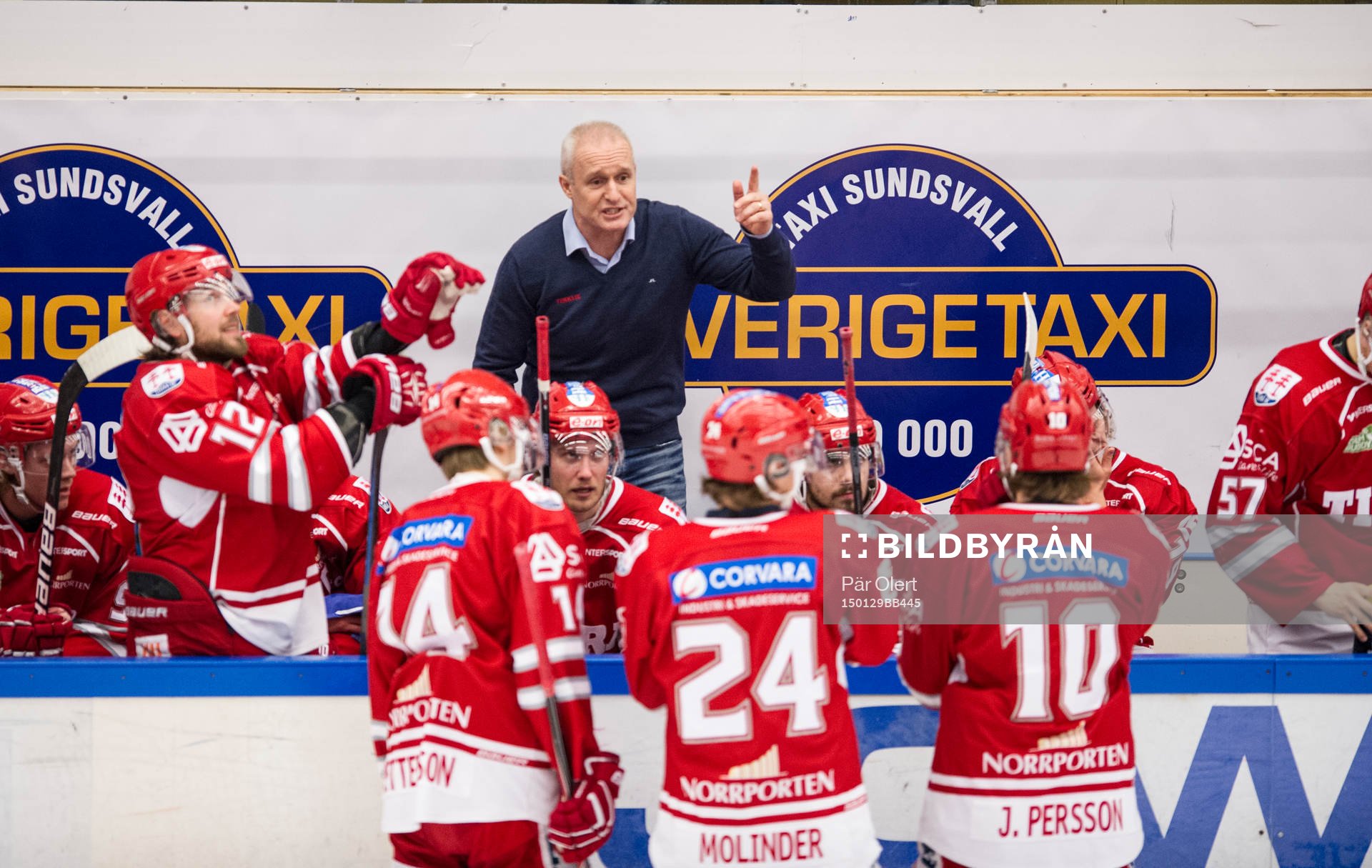 Timrå tränare Roger Forsberg