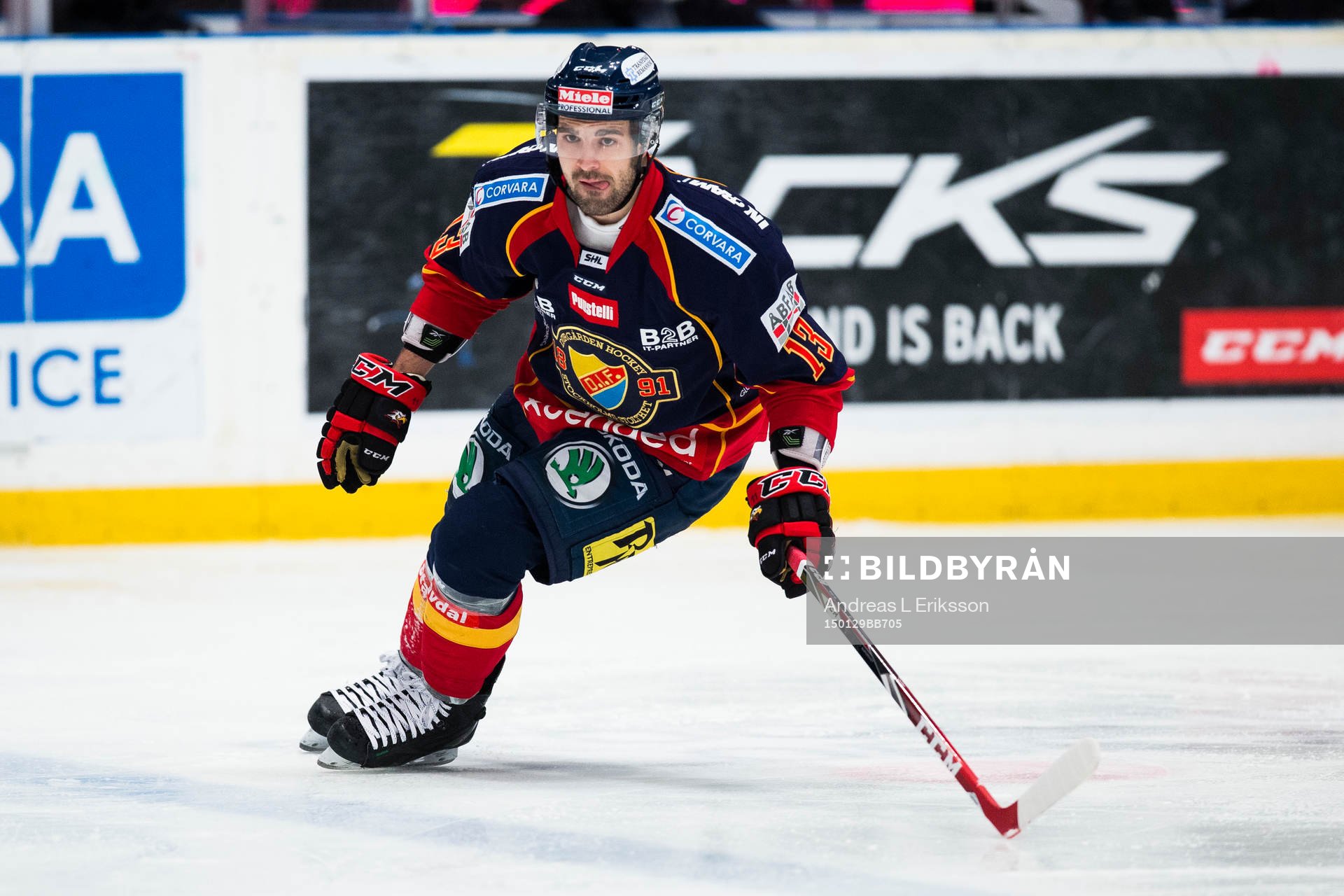 Djurgårdens Damien Fleury