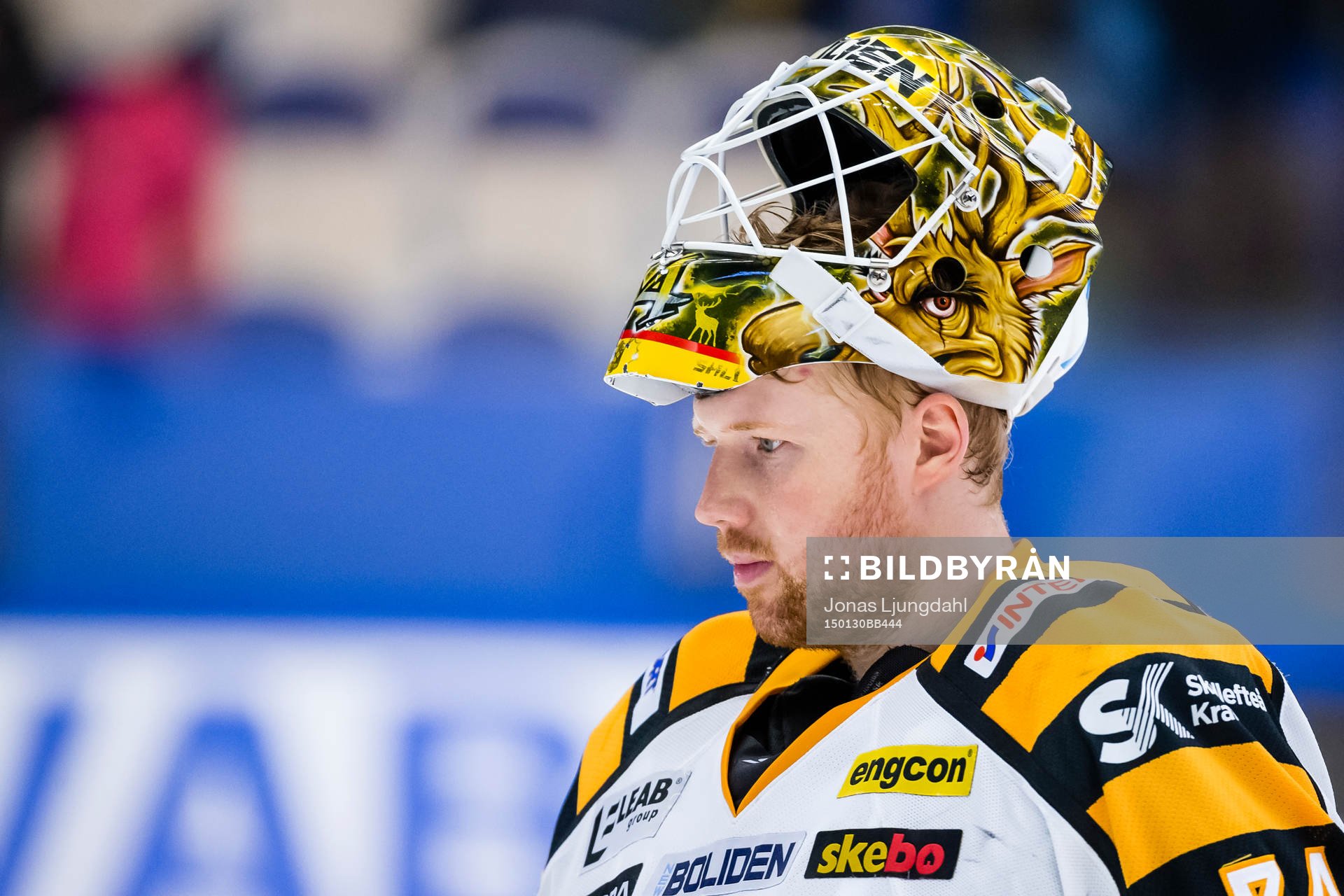 Skellefteås målvakt Erik Hanses