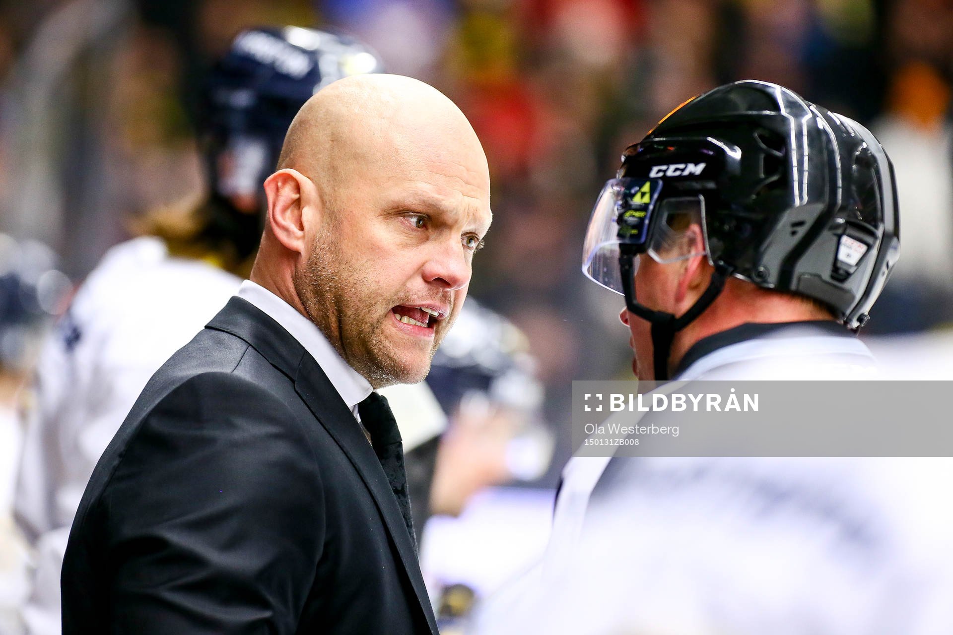 Hv71s tränare Andreas Johansson