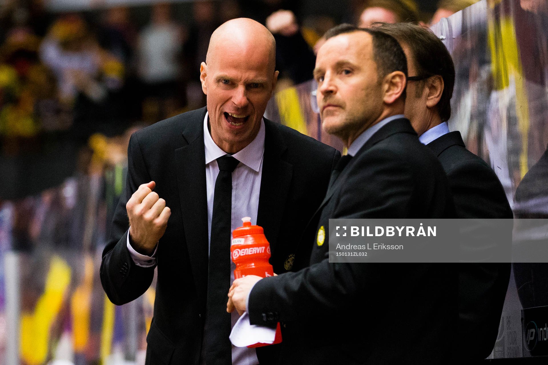 Brynäs assisterande tränare Petter Nilsson jublar