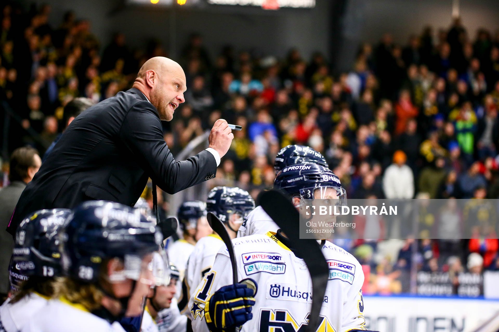 Hv71s tränare Andreas Johansson