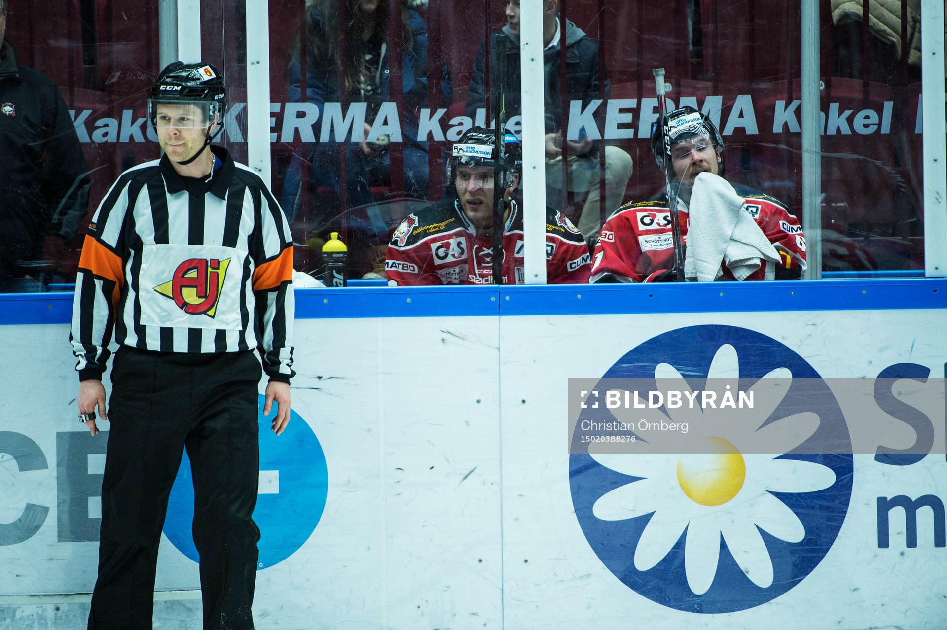 Domaren Filip Sandstedt och Malmö Redhawks spelare