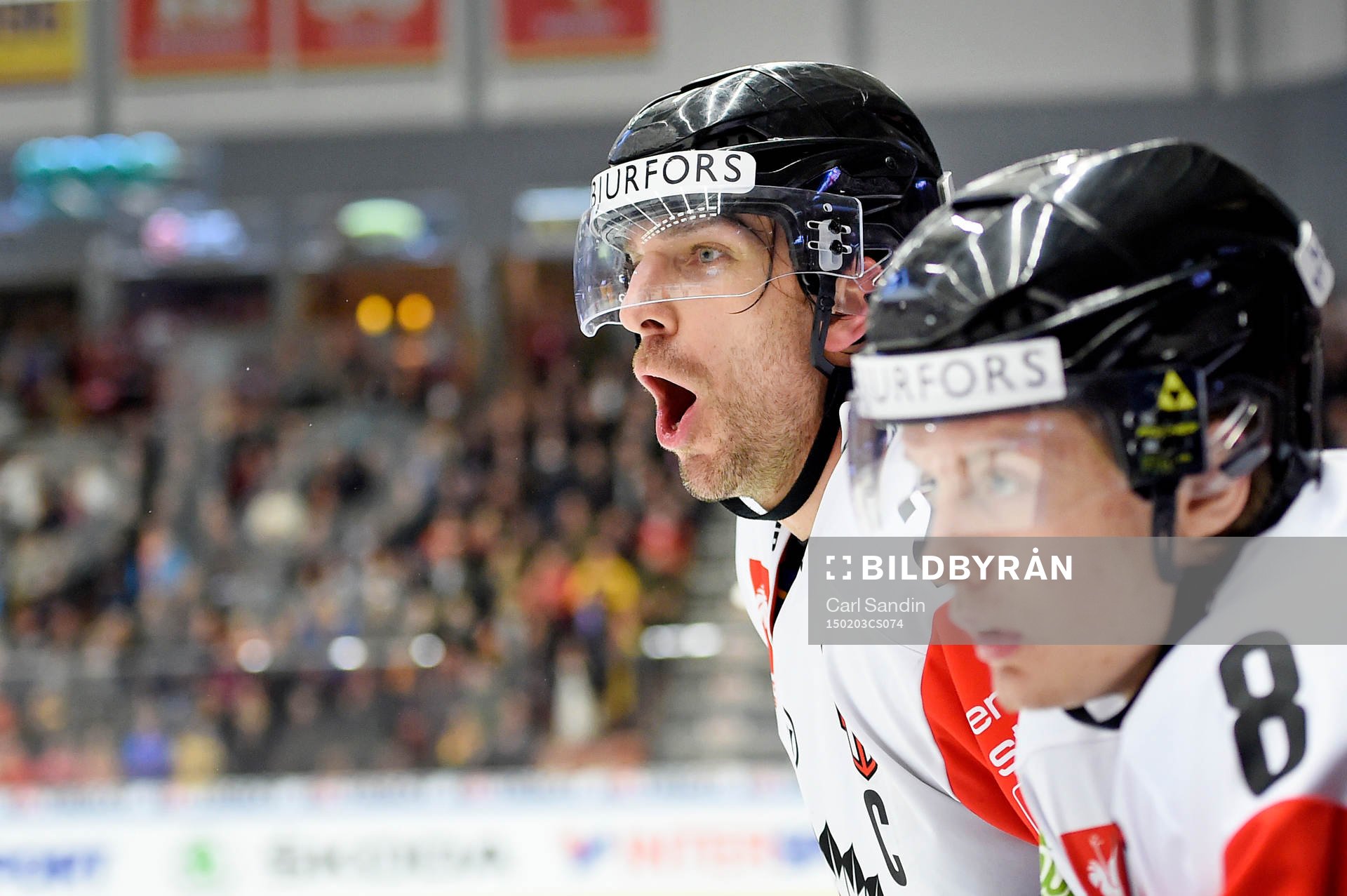 Frölundas Joel Lundqvist skriker från bänken