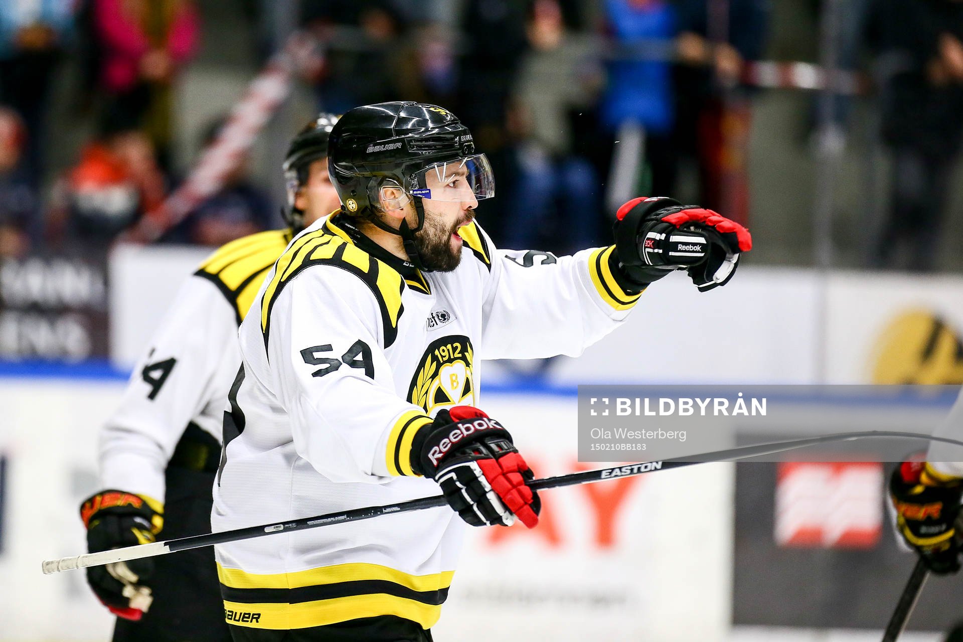Brynäs Tomas Slovak jublar