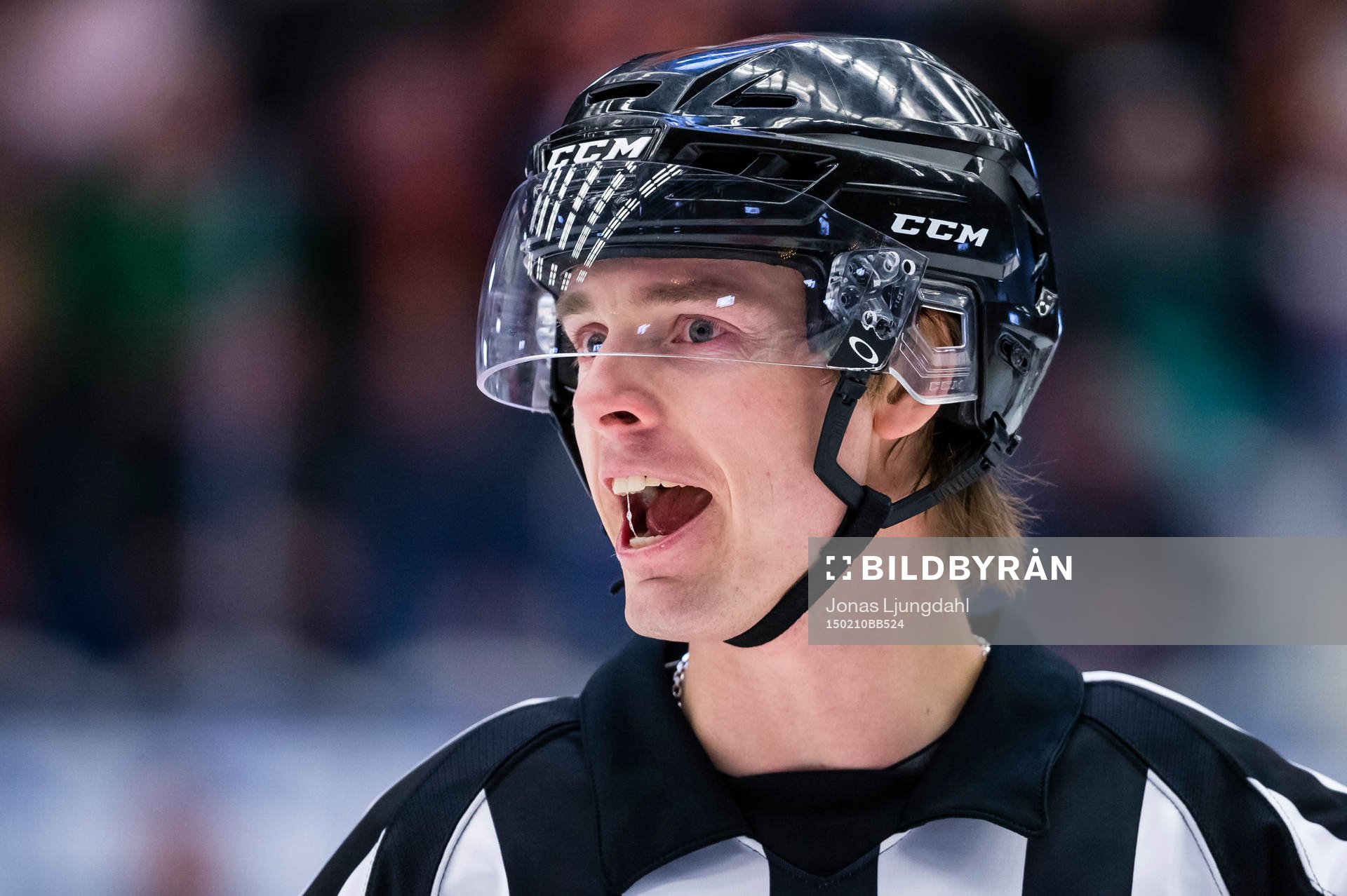 Domare Mikael Andersson