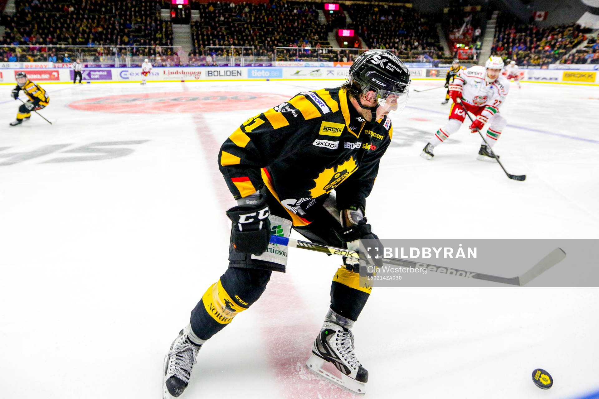 Skellefteås Fredrik Lindgren