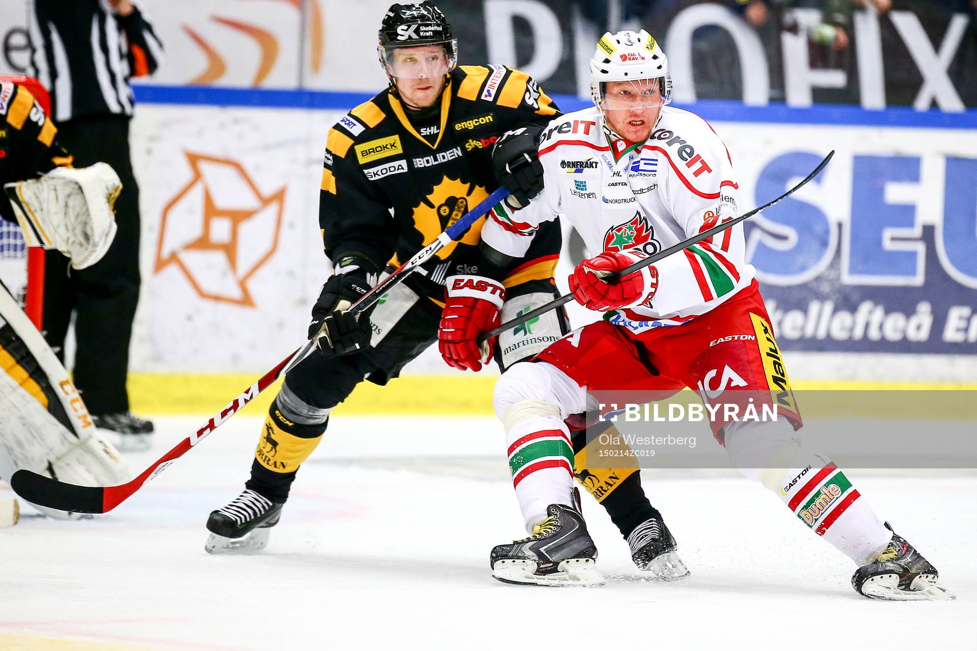 Skellefteås Tim Heed