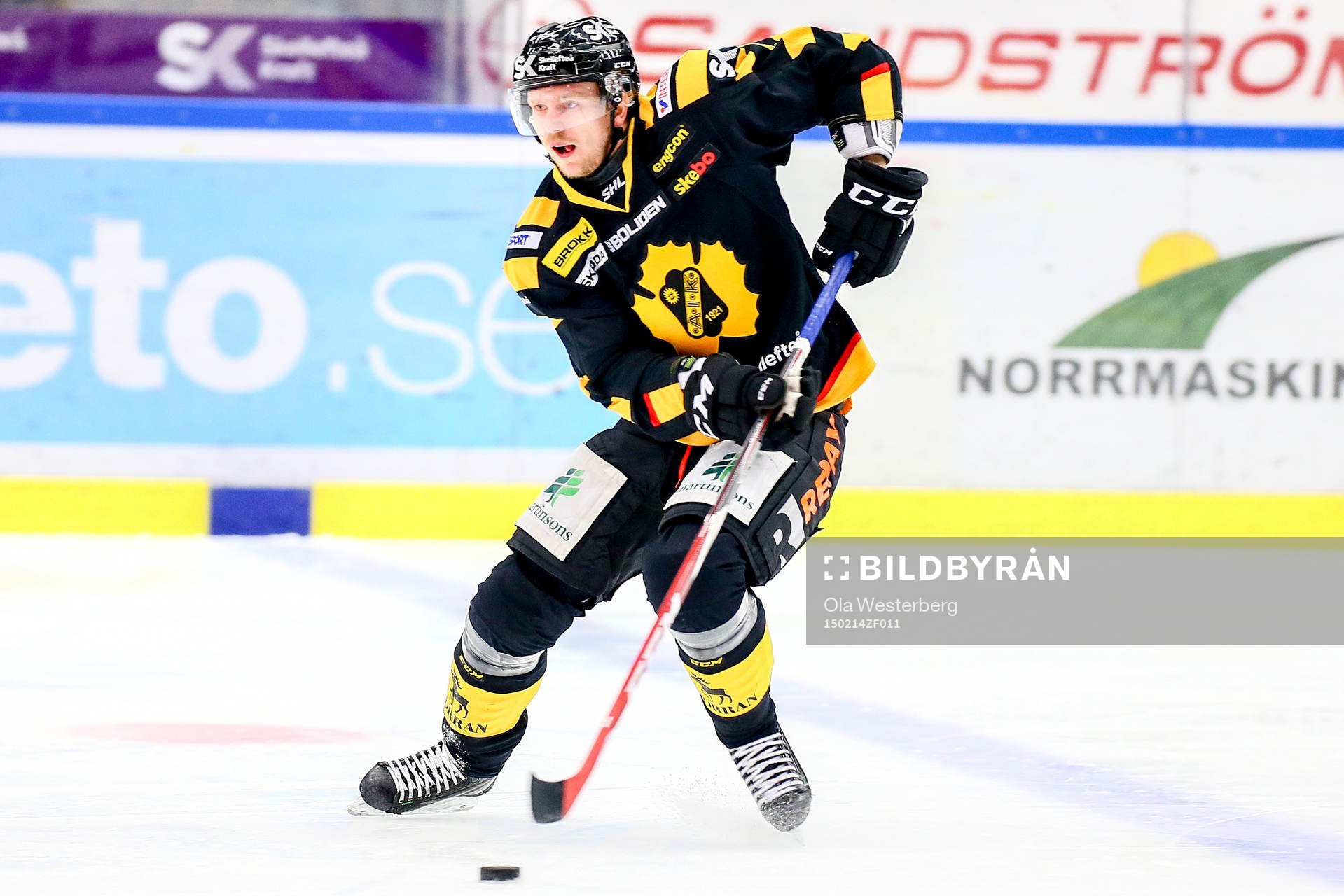 Skellefteås Tim Heed
