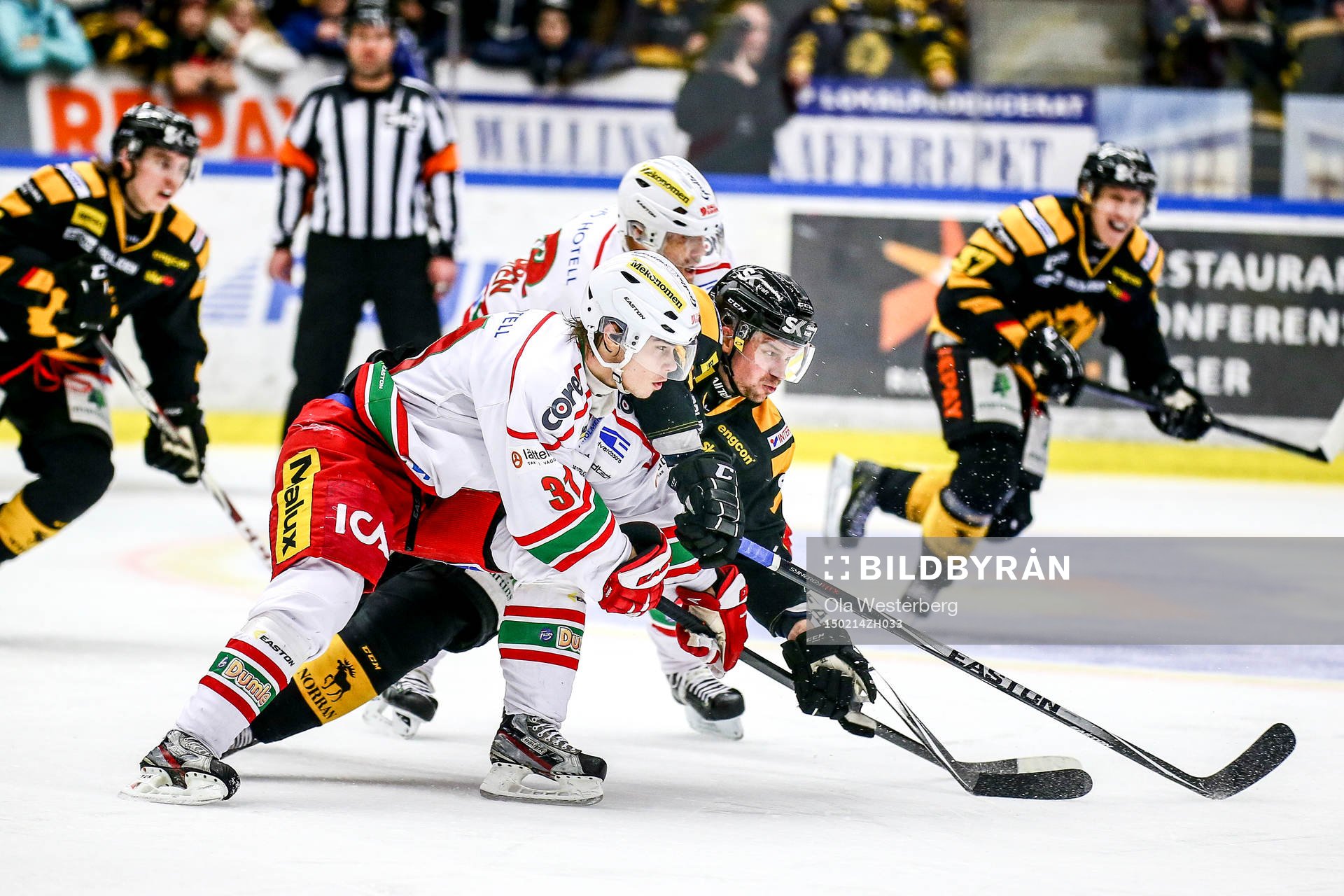 Skellefteås Janne Pesonen