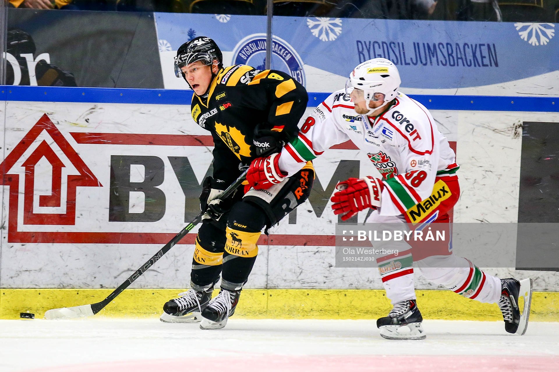 Skellefteås Patrik Zackrisson