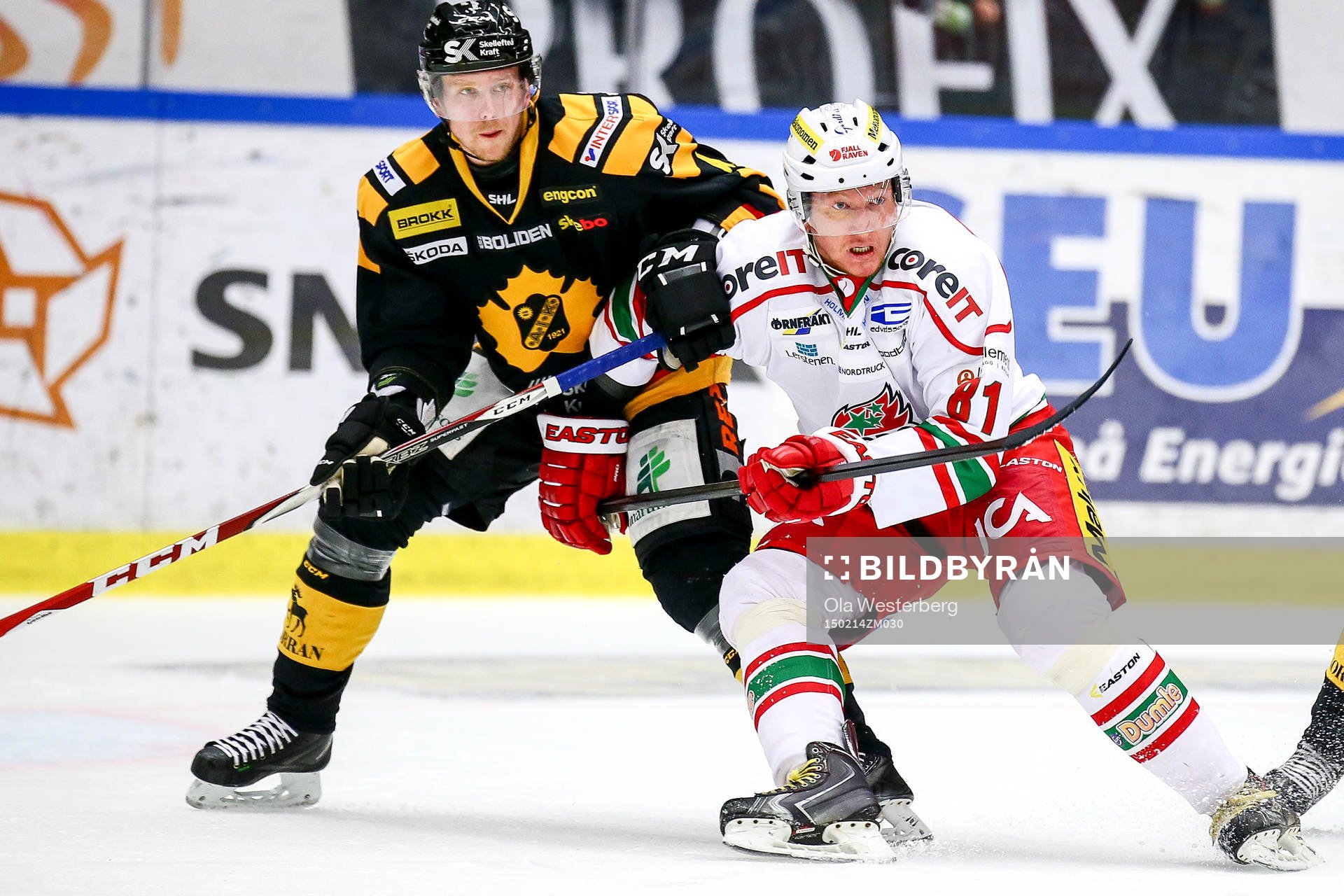 Skellefteås Tim Heed