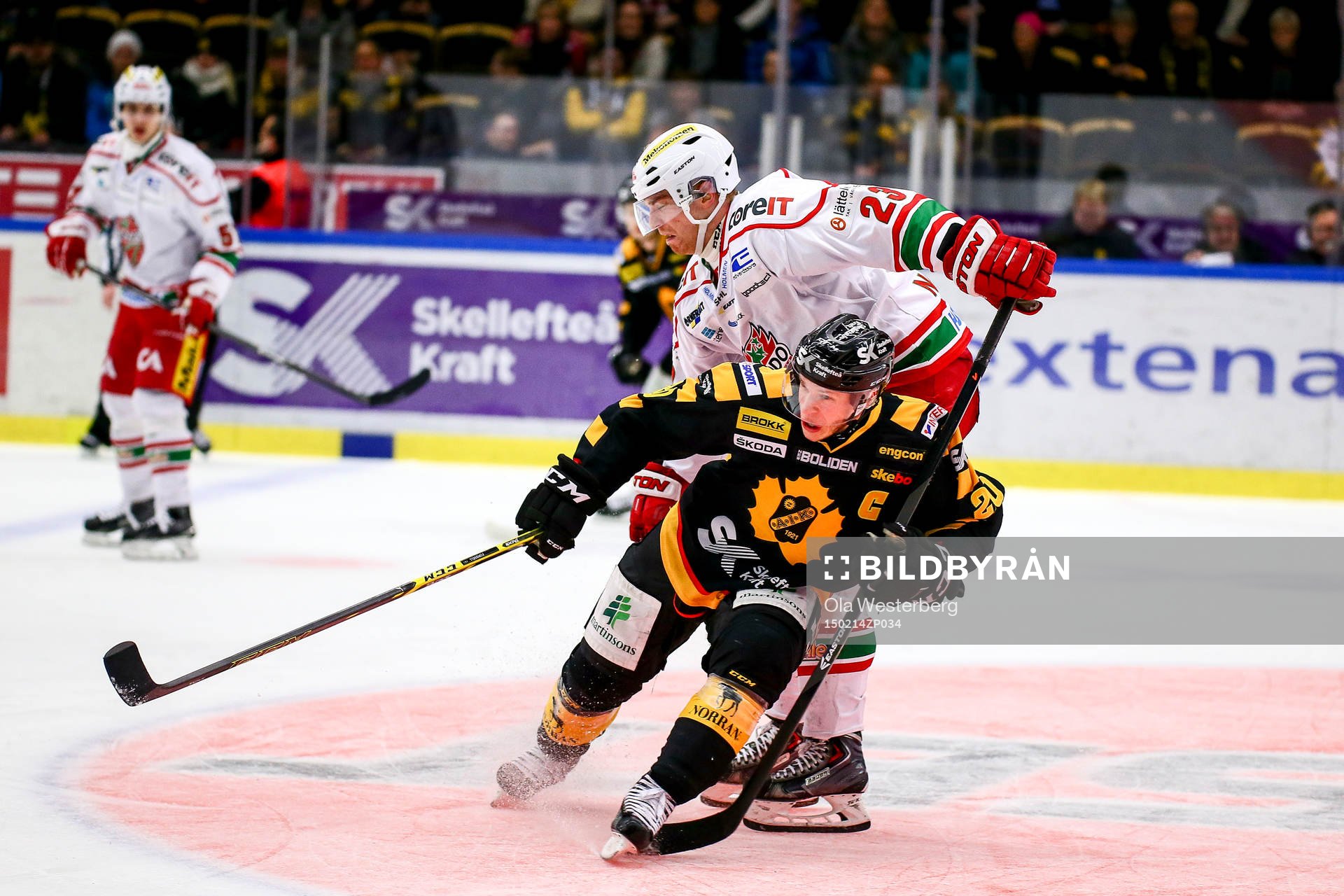 Skellefteås Erik Forssell