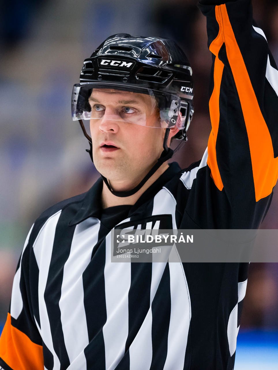 Domare Mikael Nord
