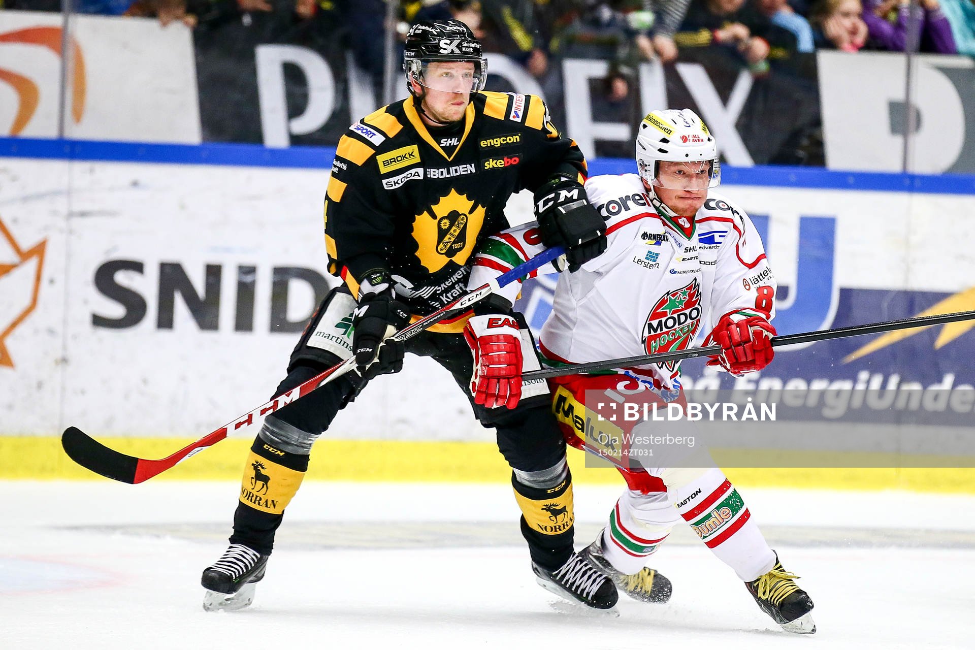 Skellefteås Tim Heed