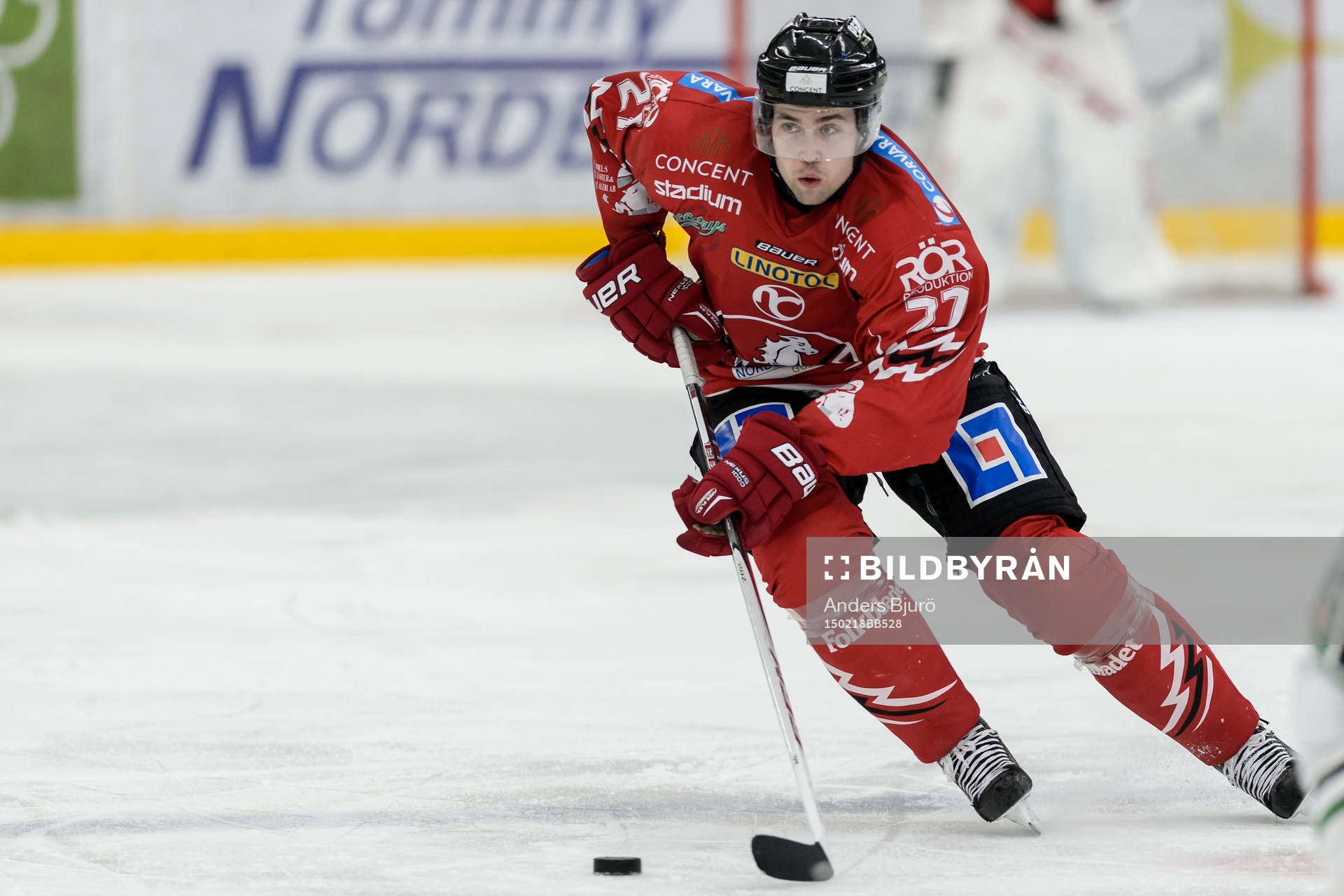 Vita Hästens Albin Lorentzon
