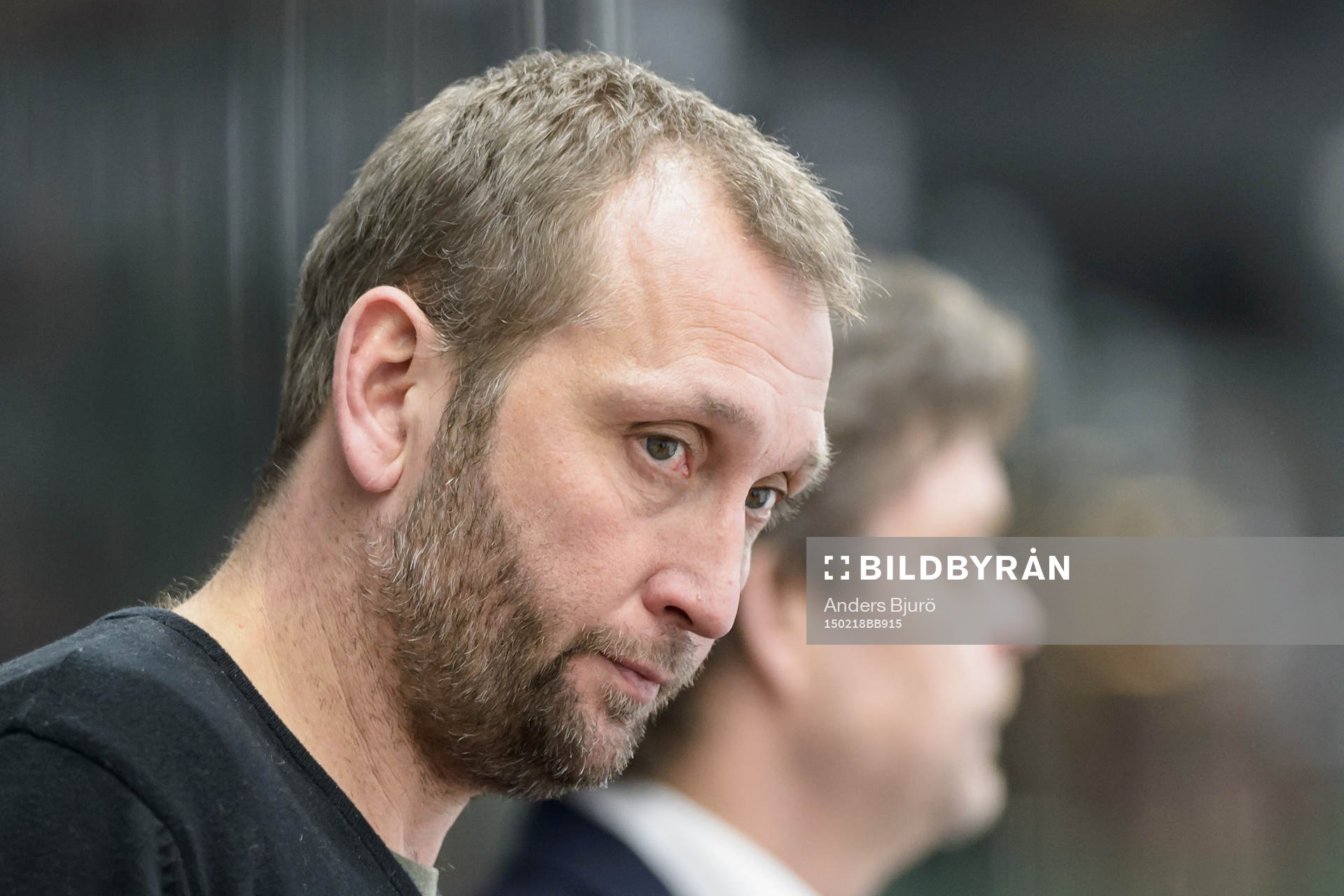 Vita Hästens assisterande tränare Mikael Johansson