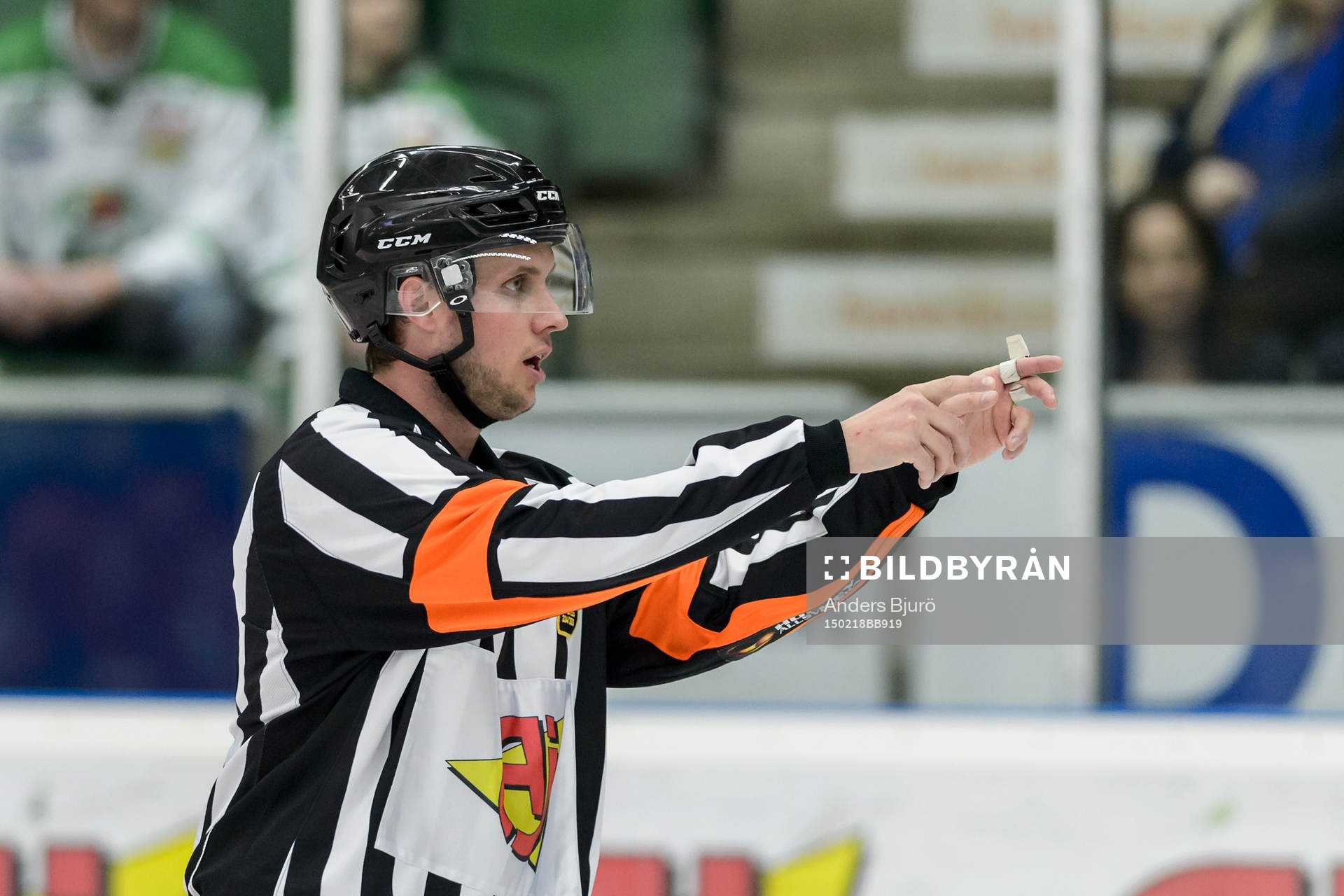 Domare Patric Bjälkander