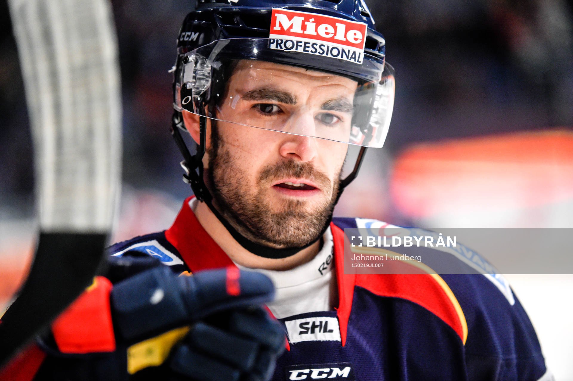 Djurgårdens Damien Fleury