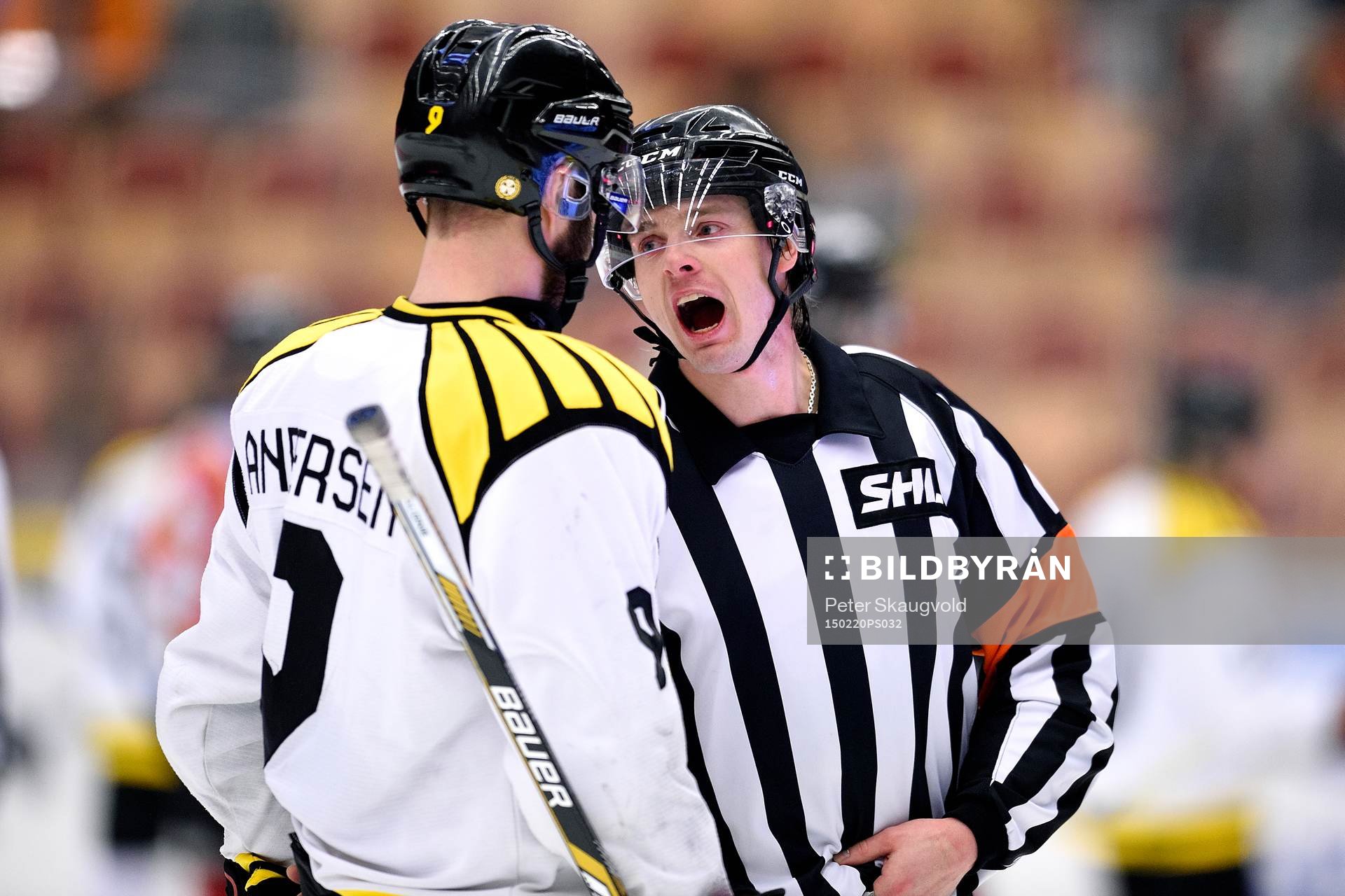 Brynäs Niclas Andersén pratar med domare Mikael Andersson