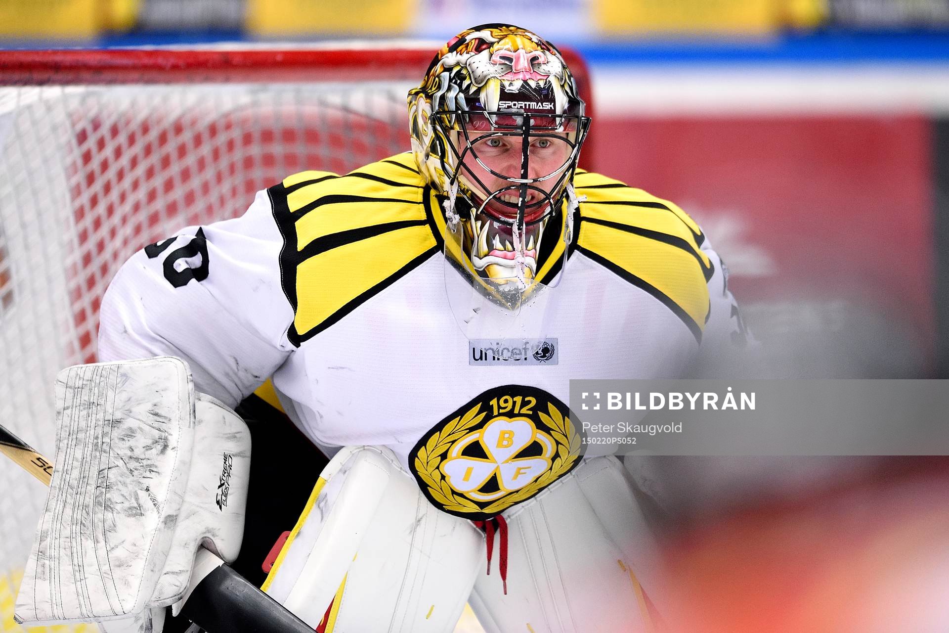 Brynäs målvakt Johan Holmqvist
