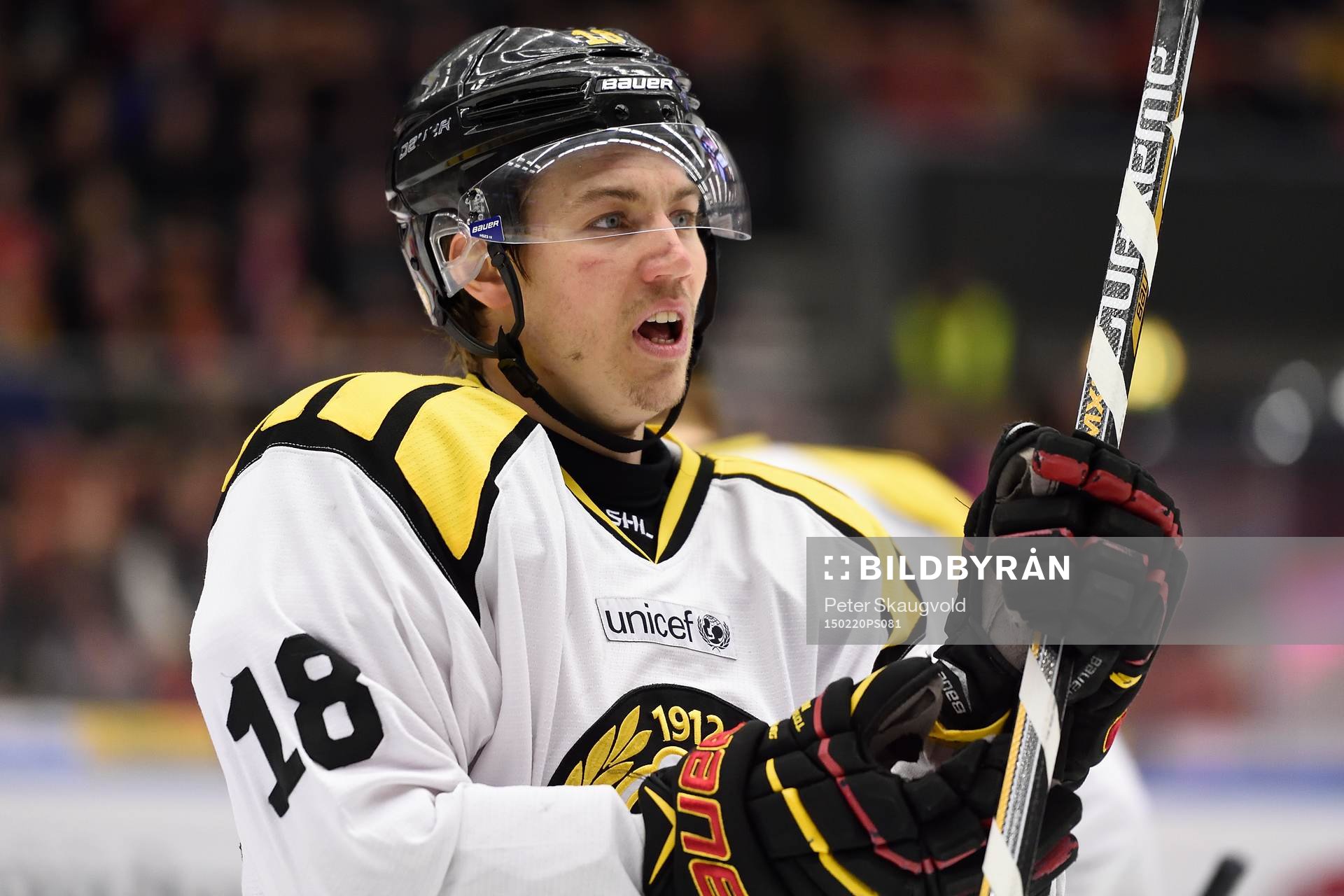 Brynäs Anton Rödin