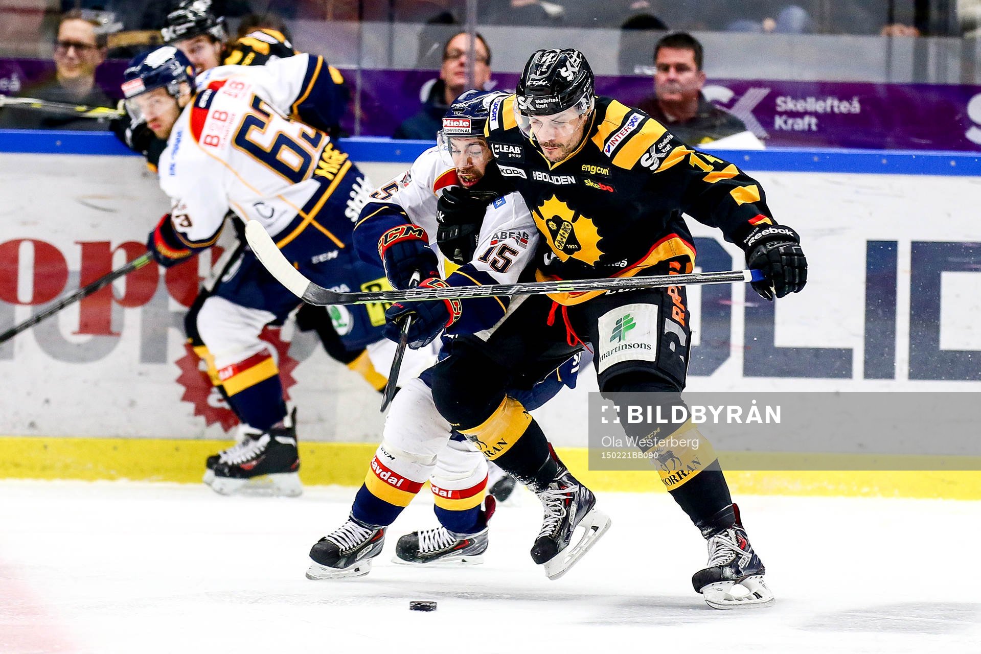 Skellefteås Daniel Widing