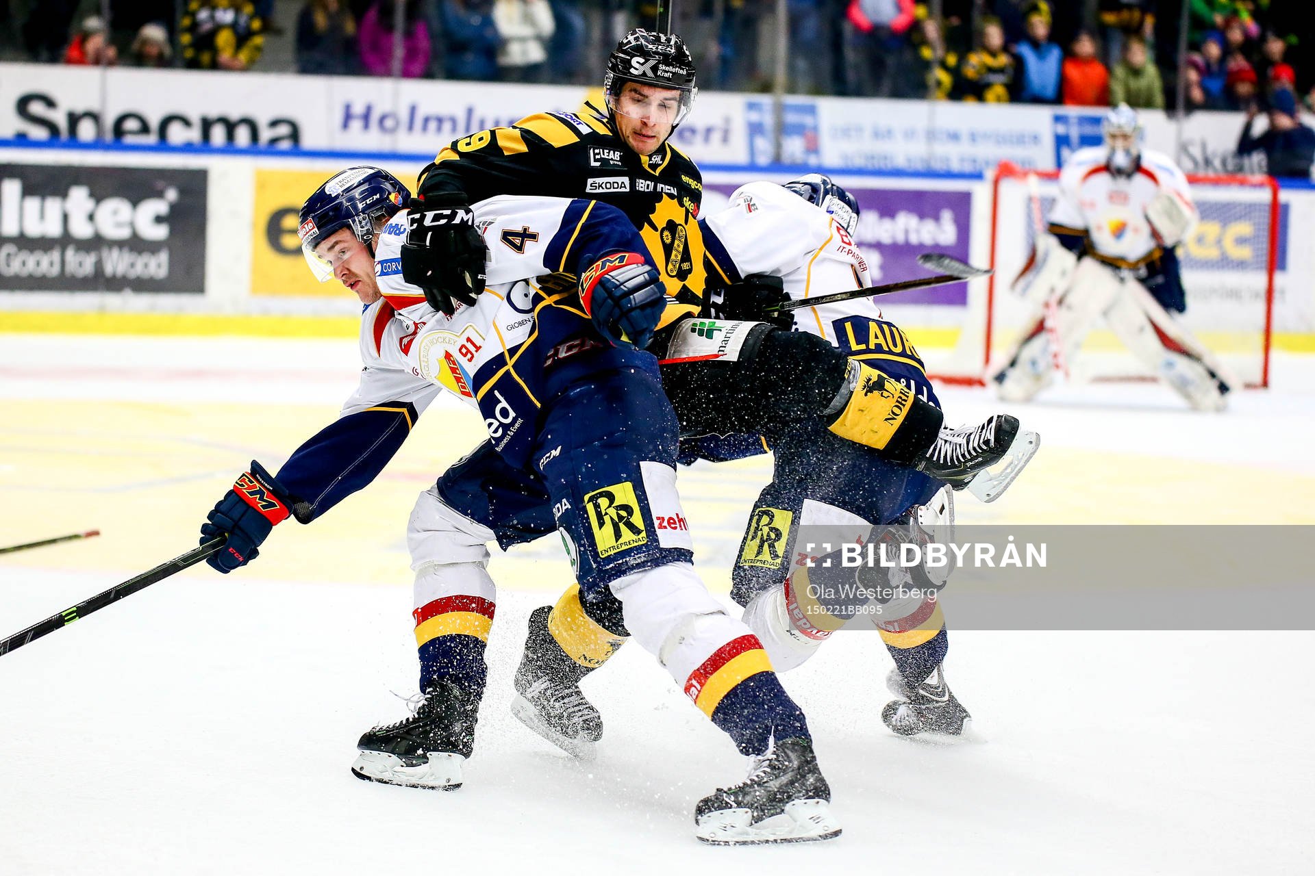 Skellefteås Andrew Calof