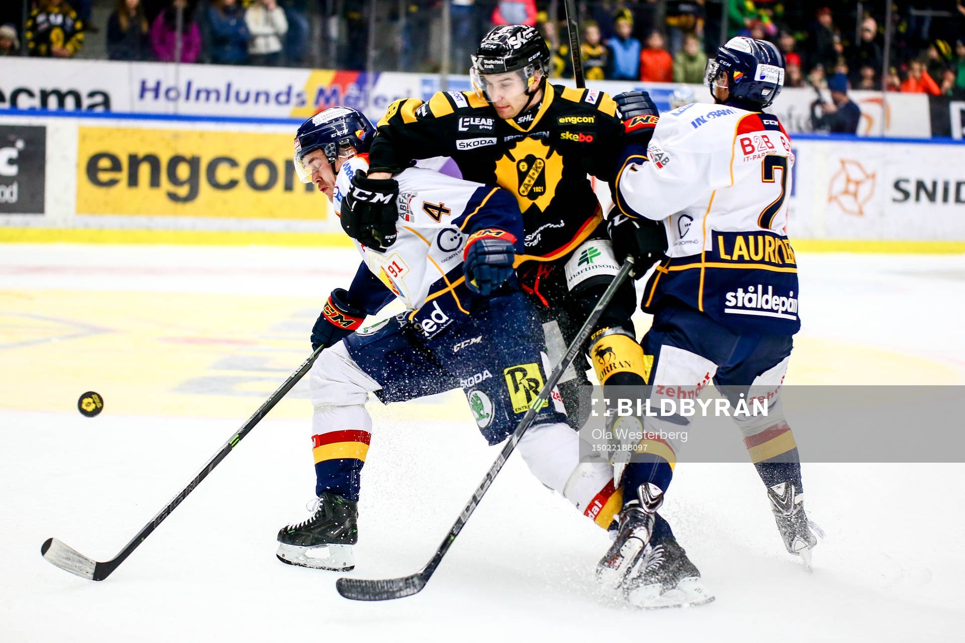 Skellefteås Andrew Calof