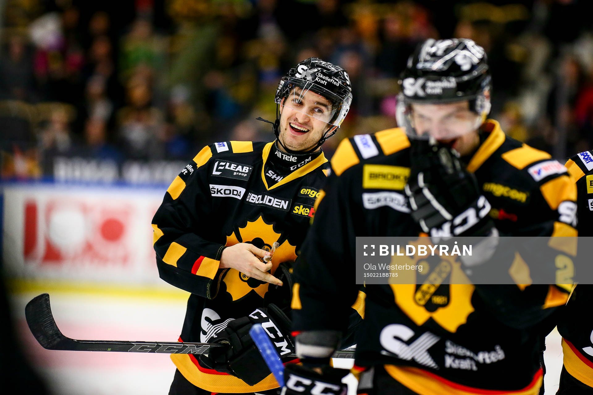 Skellefteås Andrew Calof  jublar
