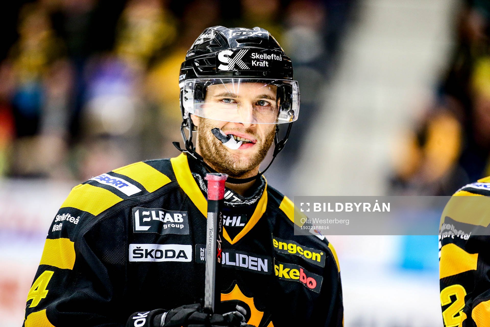 Skellefteås Rob Schremp