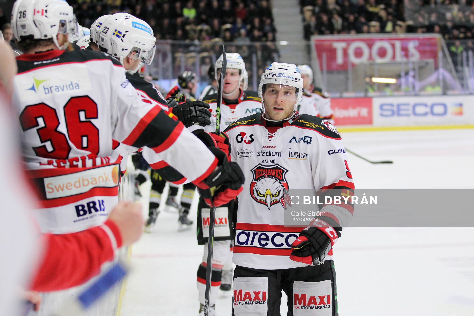 Malmös Frederik Storm jublar