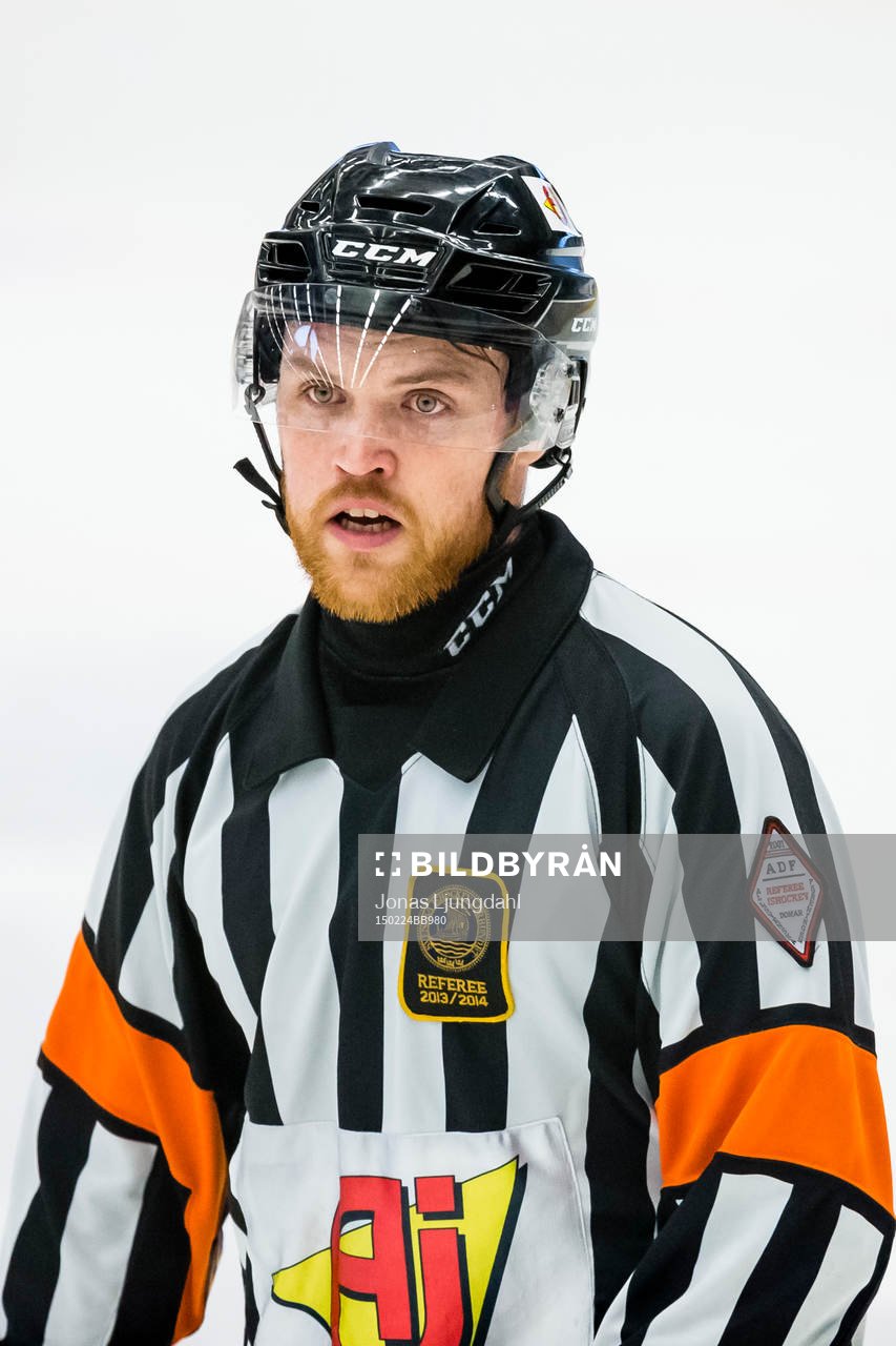 Domare Johan Häll