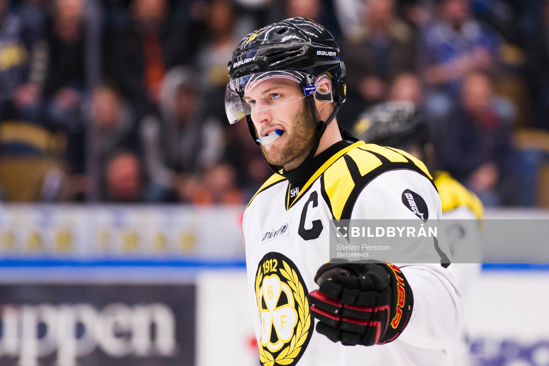 Brynäs Niclas Andersén