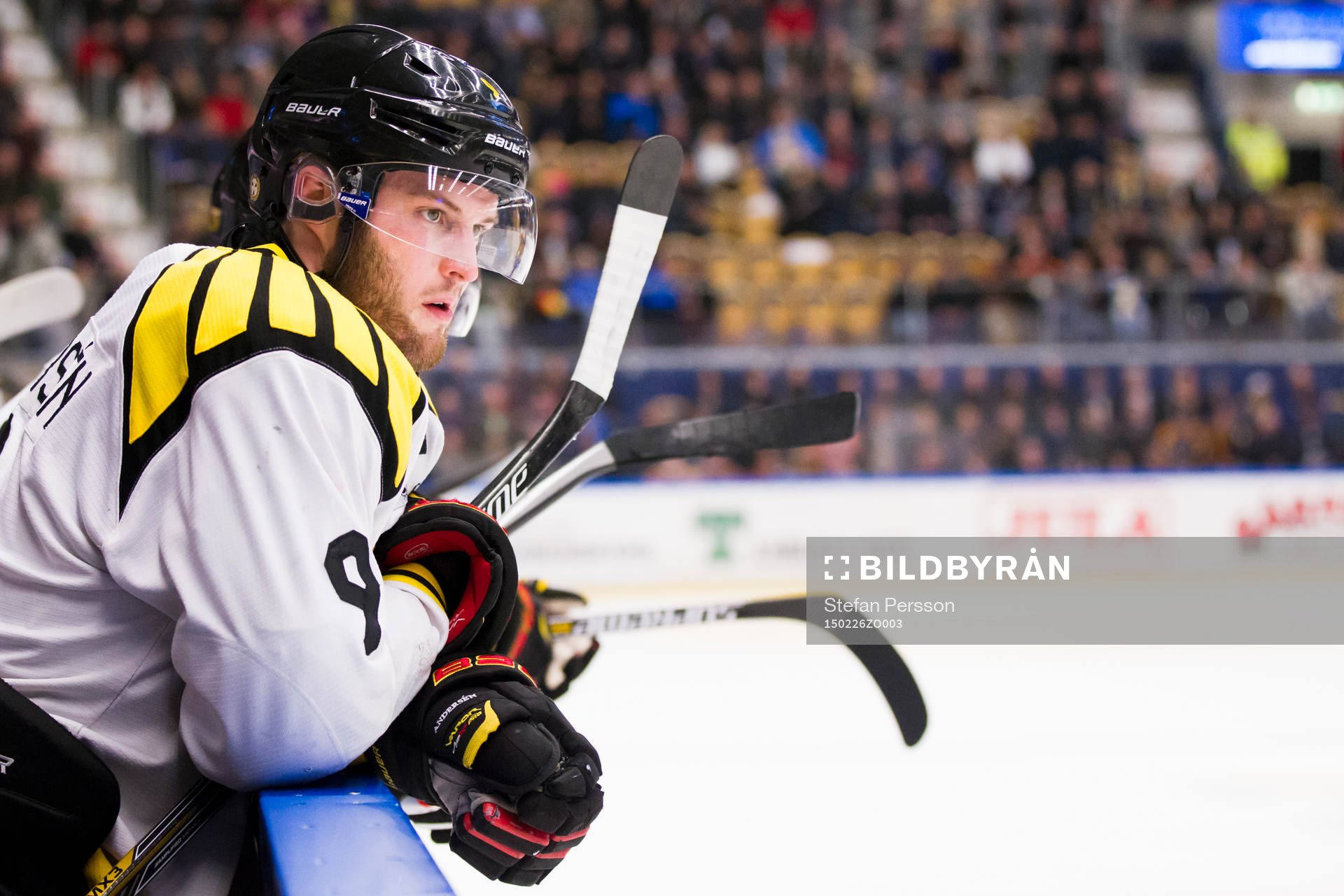 Brynäs Niclas Andersén
